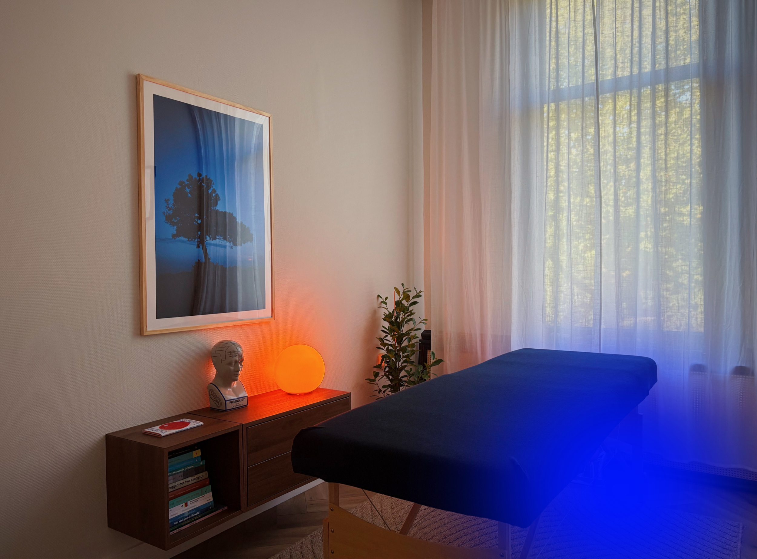 Sfeervolle hoek van de praktijkruimte van Het Blauwe Uur met kunst, boeken, een oranje lamp en uitzicht op groene bomen.
