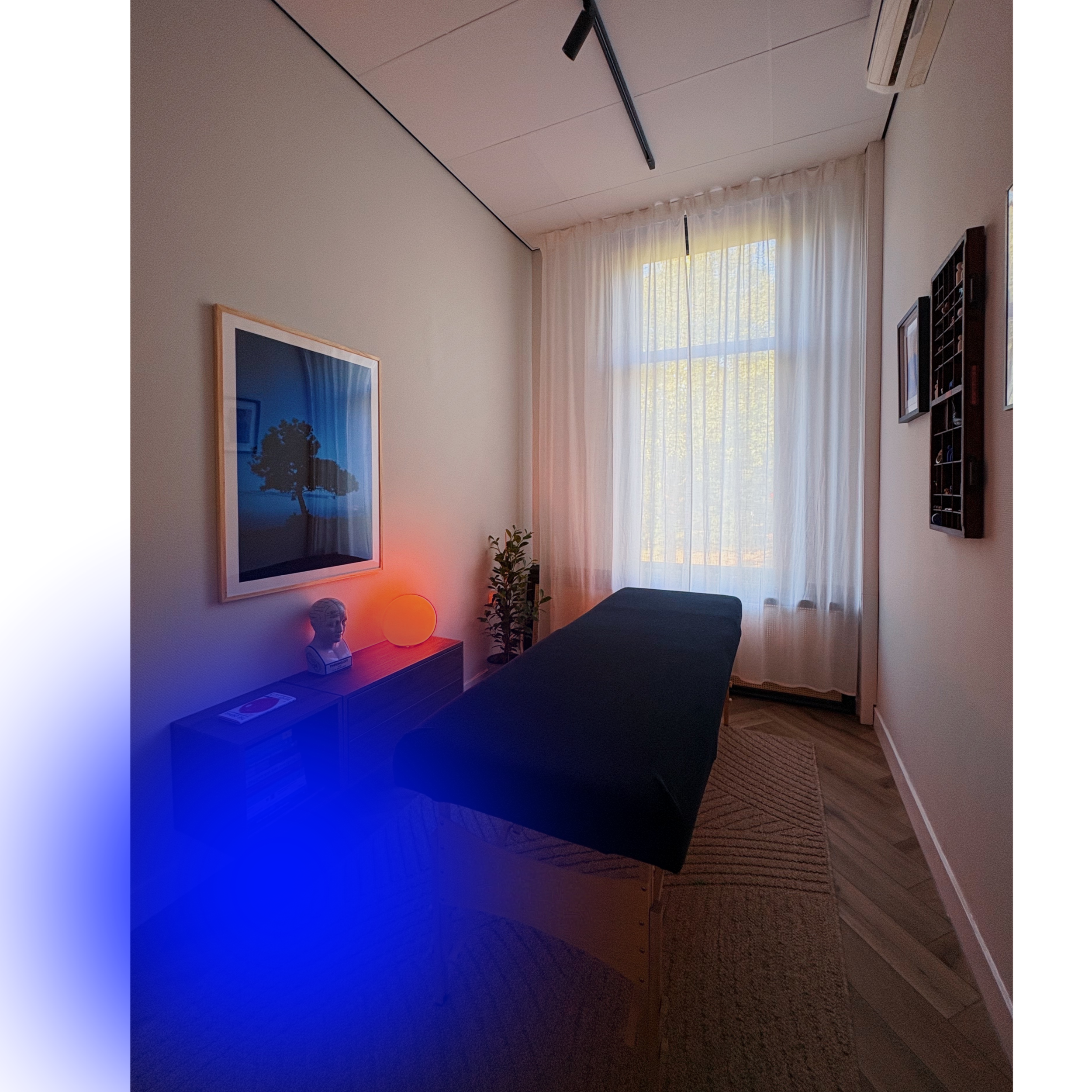 Rustige ruimte van Het Blauwe Uur met natuurlijke lichtinval, kunst aan de muur, boeken en een behandeltafel.