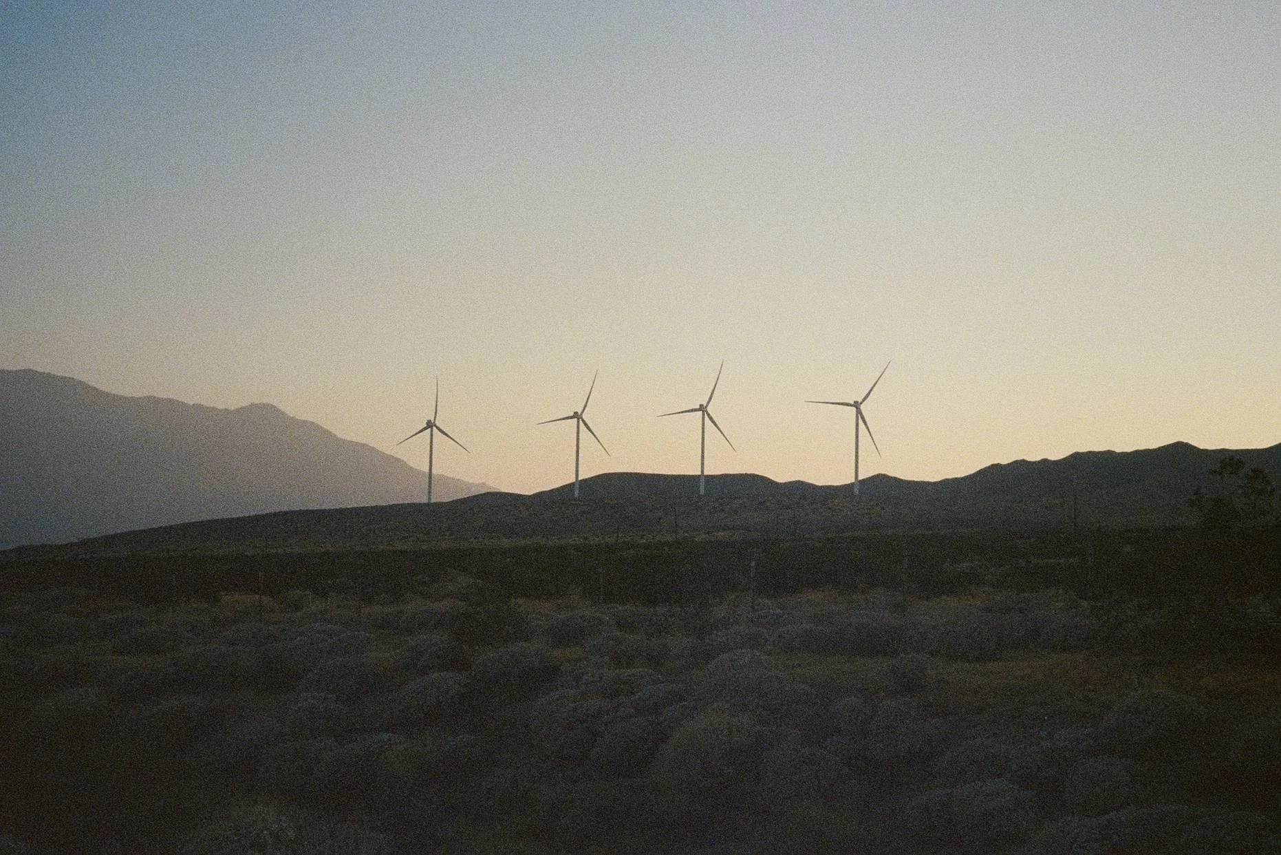 Windmills • Morongo Valley, CA