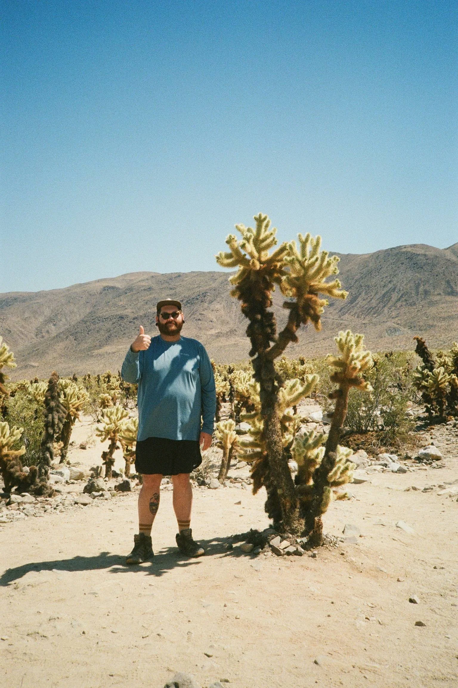 Cholla & Man • Joshua Tree, CA