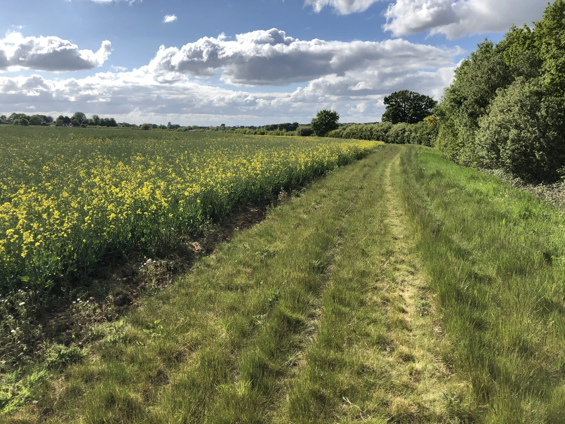 The Power of Getting Outdoors: Coming Back to What Grounds You