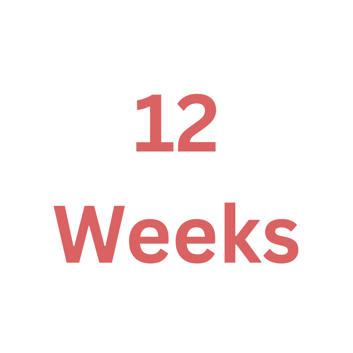12 Week Program