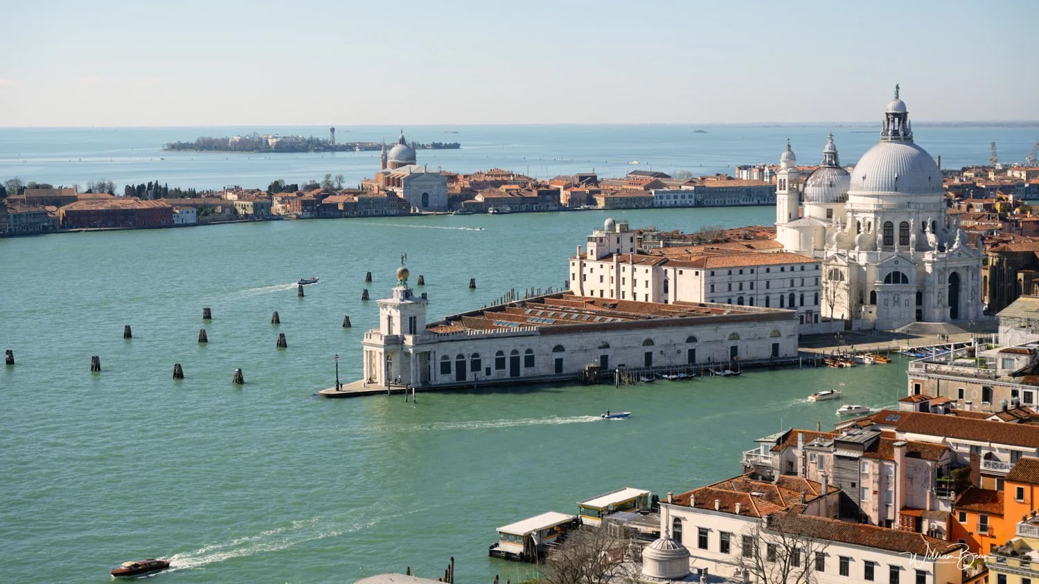 Venice Mar 2025-0031.jpg