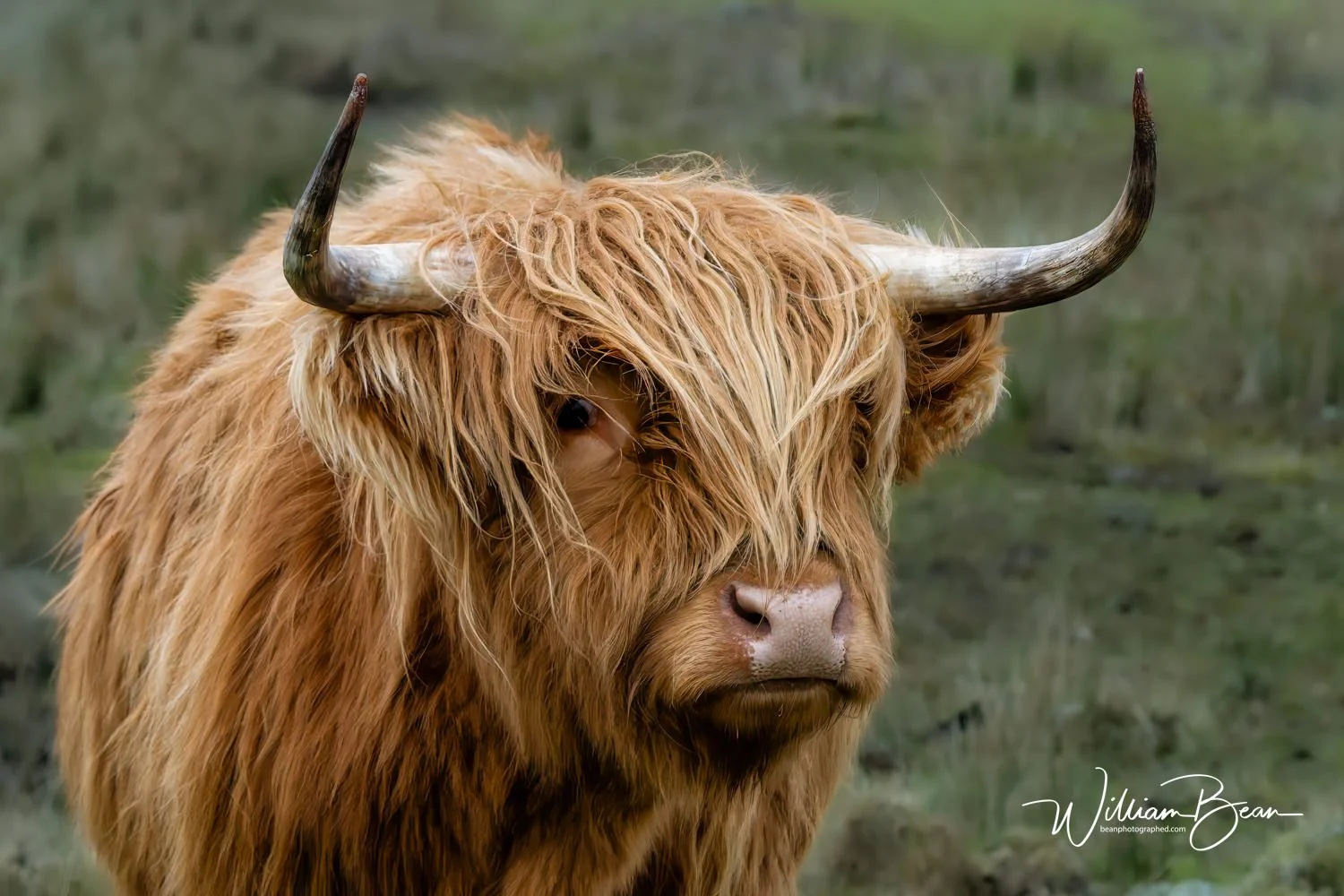 Images of Glencoe and Surrounding Area-17.jpg