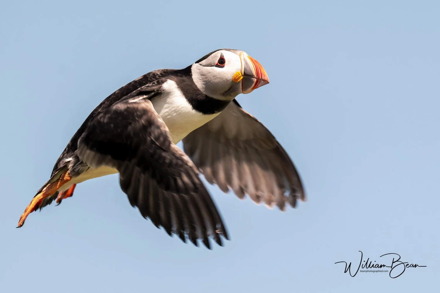 Farnes June 2024-0004.jpg
