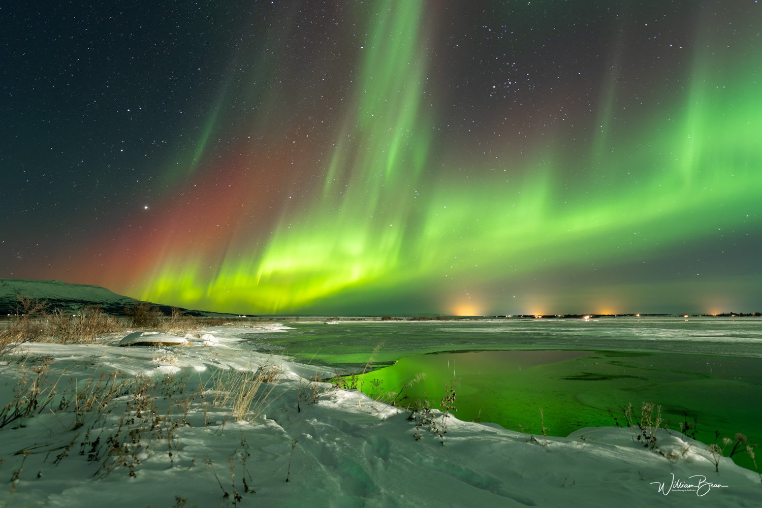 Northern Lights Iceland-4.jpg