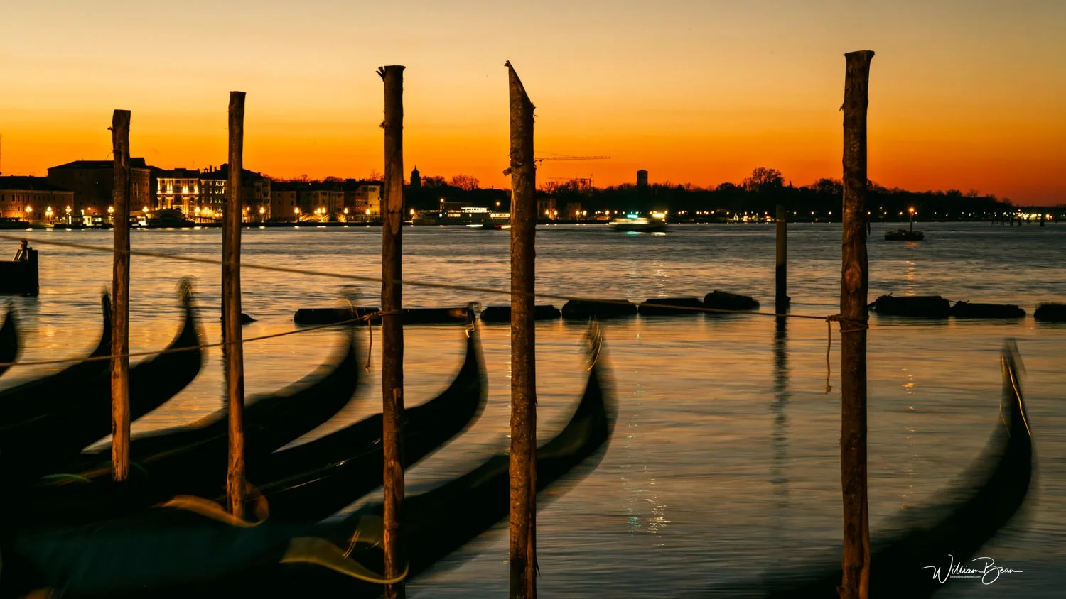 Venice Mar 2025-0028.jpg