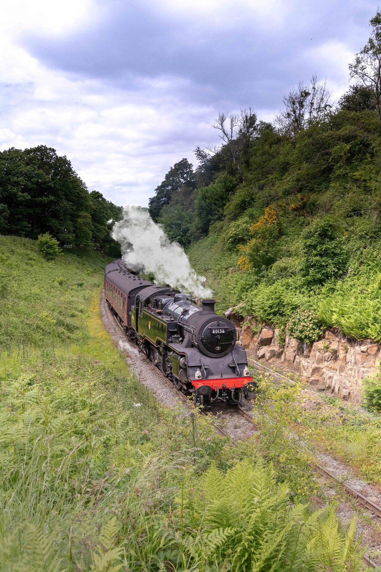 Steam Trains-21.jpg