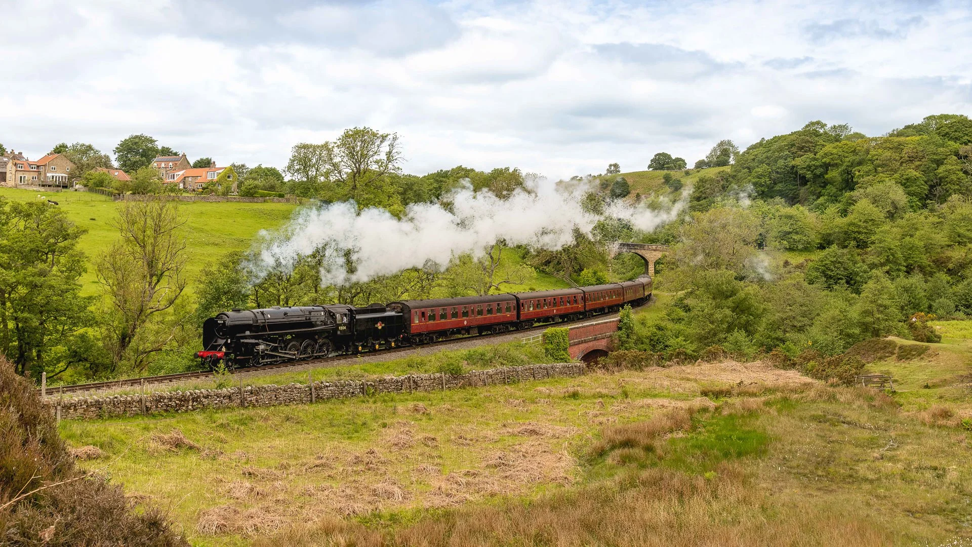 Steam Trains-15.jpg