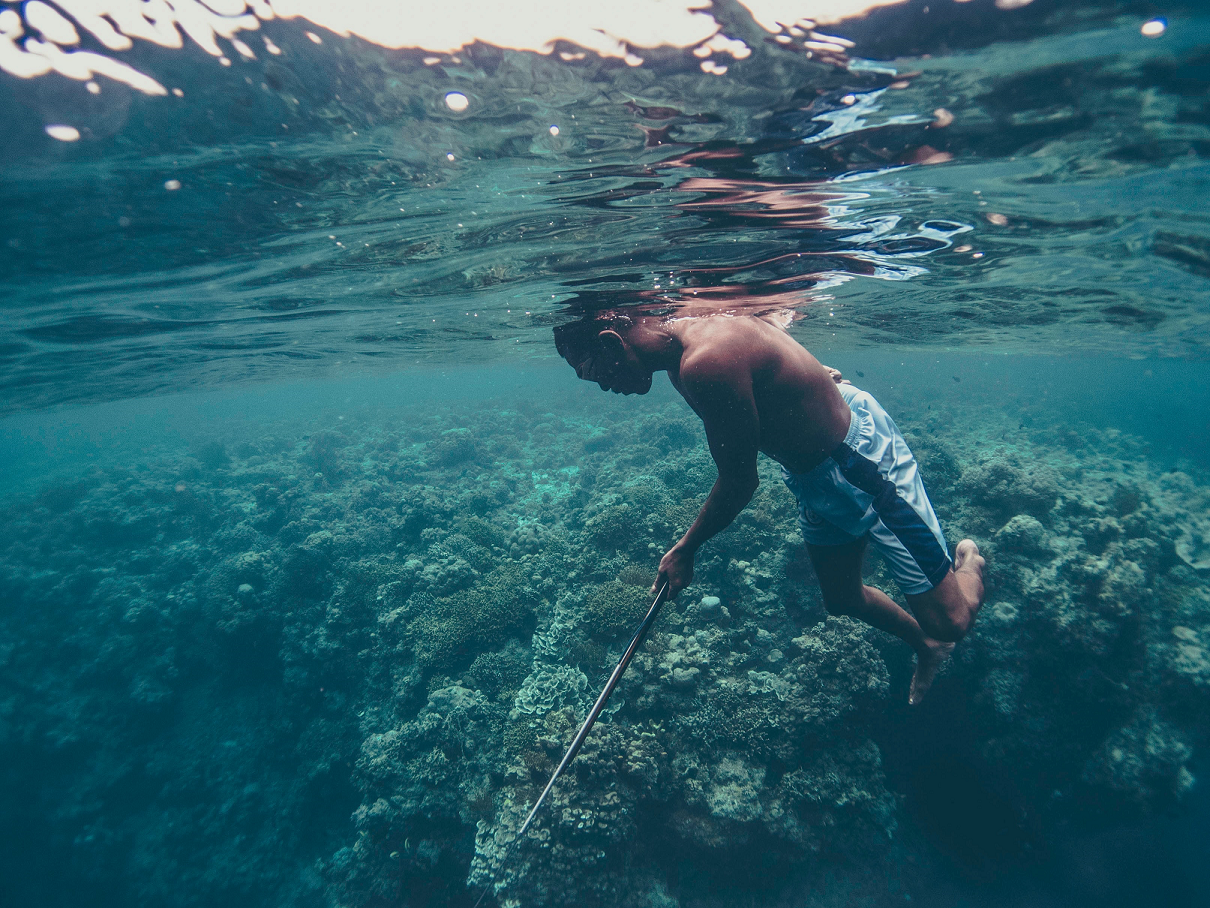 Photo of diver spear fishing. Photo by Benjamin Jones on Unsplash