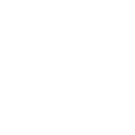 Logo of NKN CES with a leaf sprouting from the letter N.