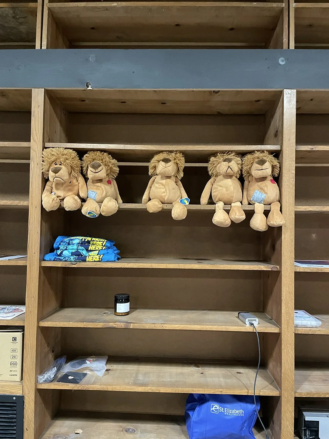 Five plush lion toys with bald patches sitting on an empty wooden shelf in a store, with clothing and miscellaneous items on lower shelves.