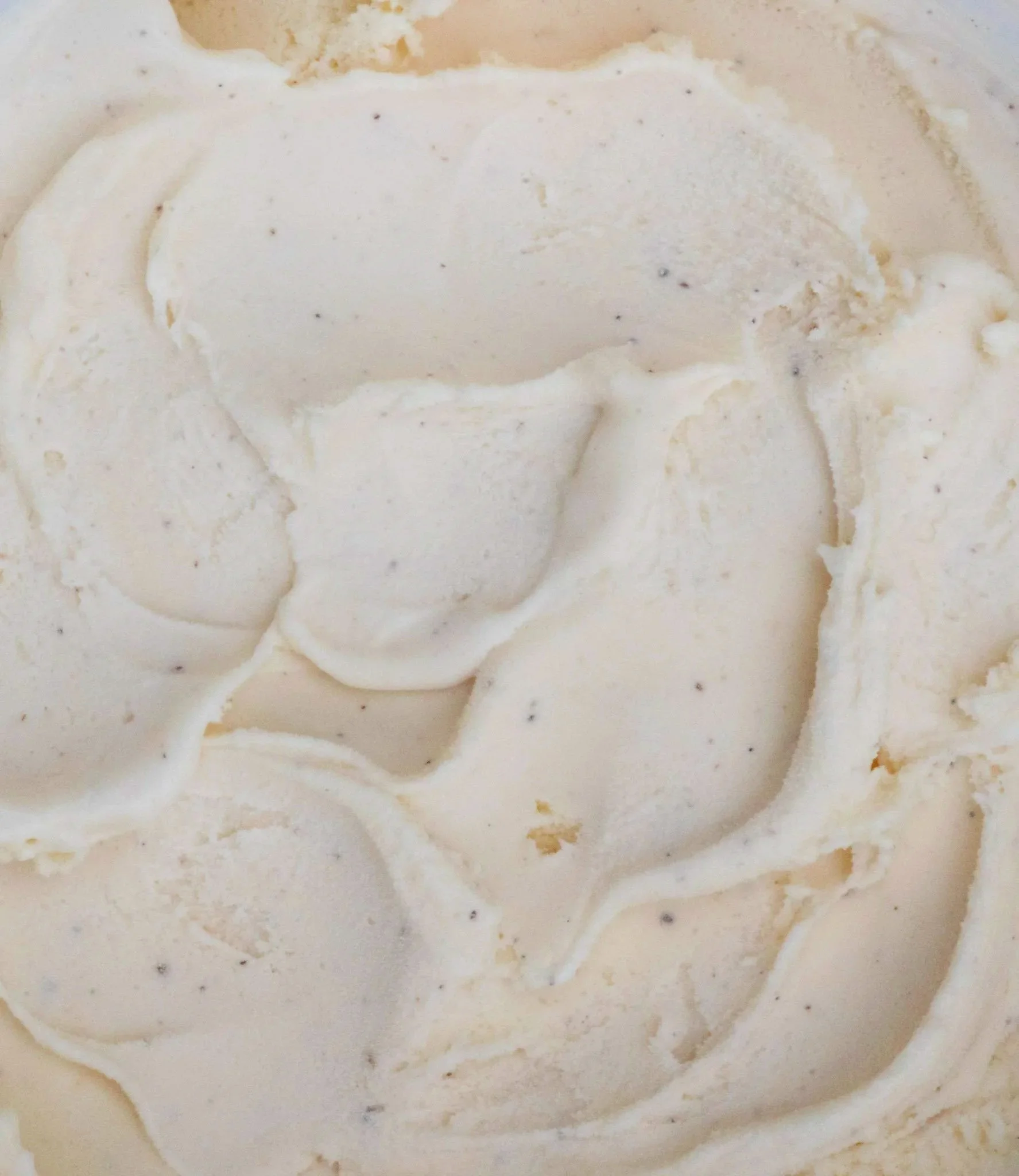 Close-up of vanilla ice cream with specks of vanilla bean visible.
