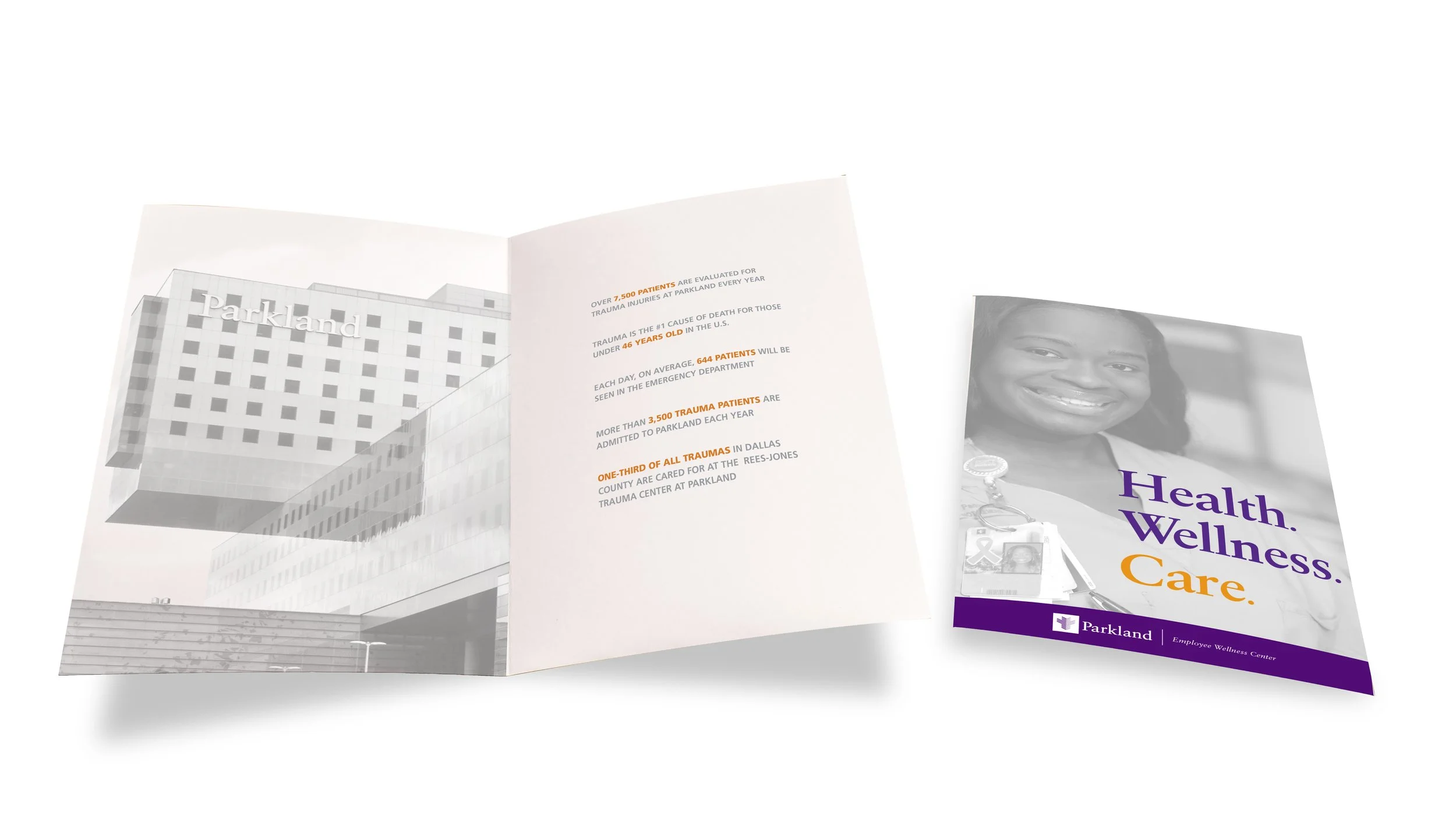 PAMPHLET Employee Health 010620RH MOCKUP.jpg