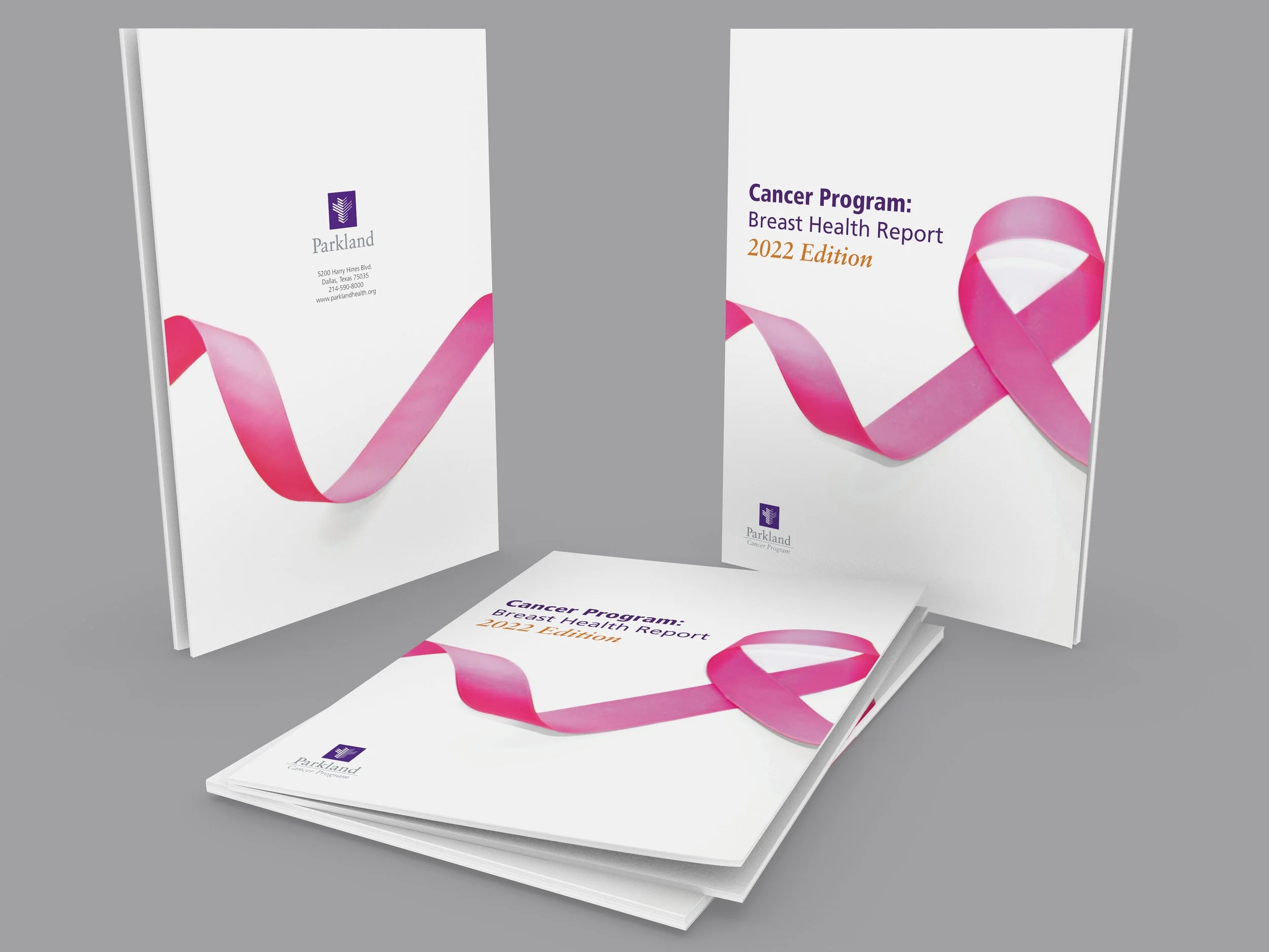 MOCK-UP Cancer Strategic Program 031222RH2.jpg