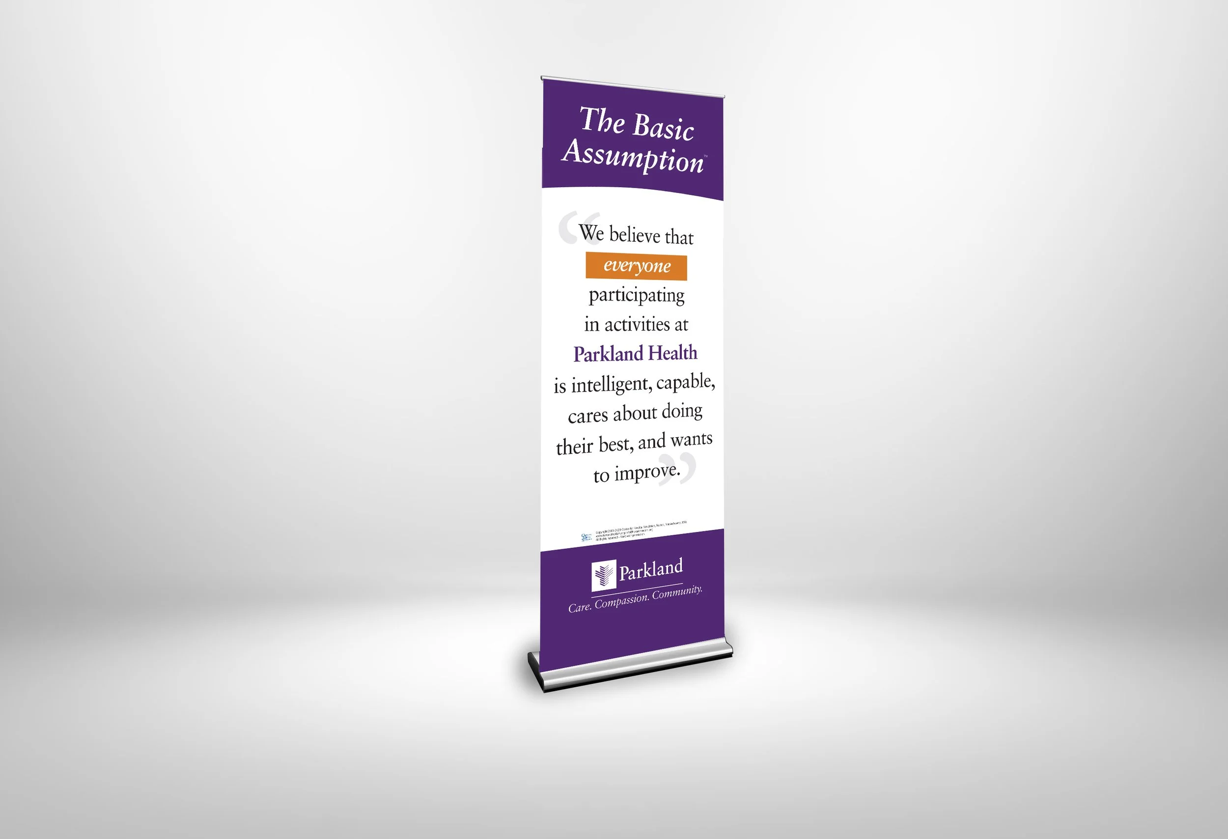MOCKUP BANNER RETRACTABLE Basic Assumption 020722RH 30x80.jpg