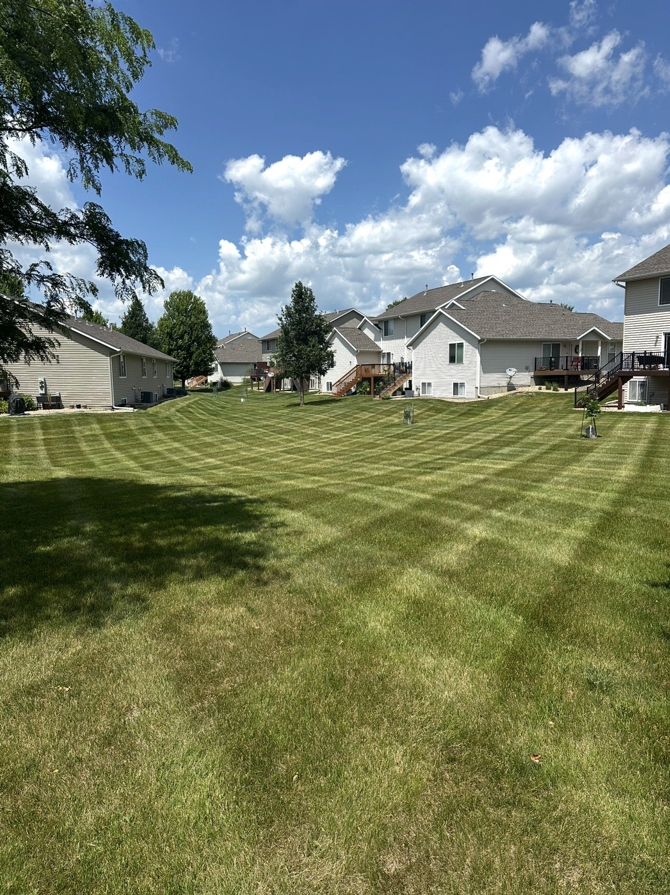 A well-maintained grassy backyard with striped green lawn, surrounded by houses with decks, under a blue sky with scattered white clouds.