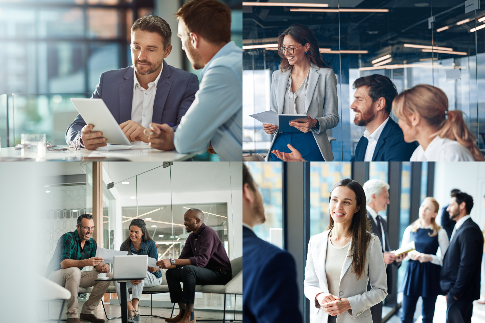 Business professionals