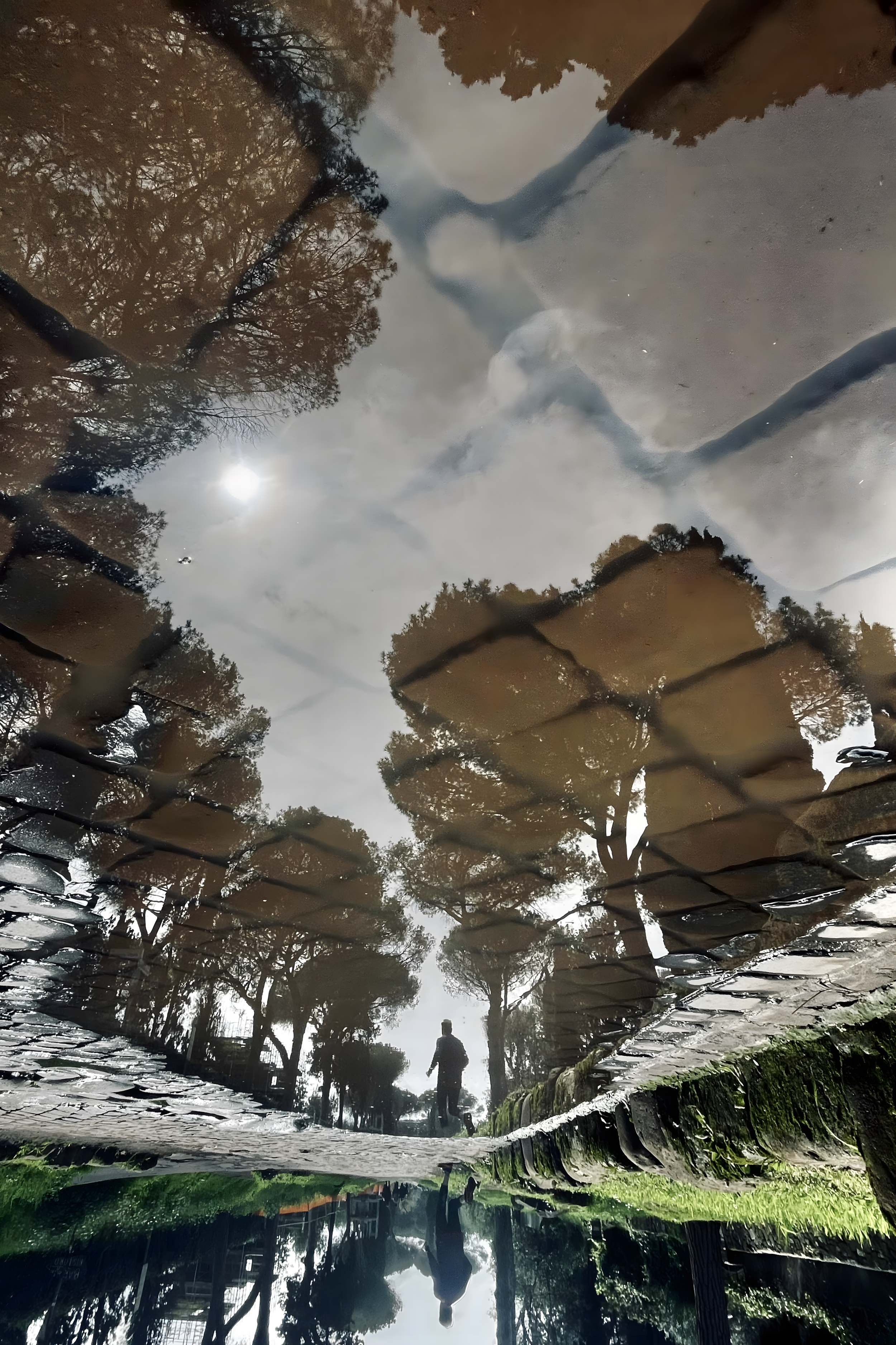 Rome Submerged No. 7