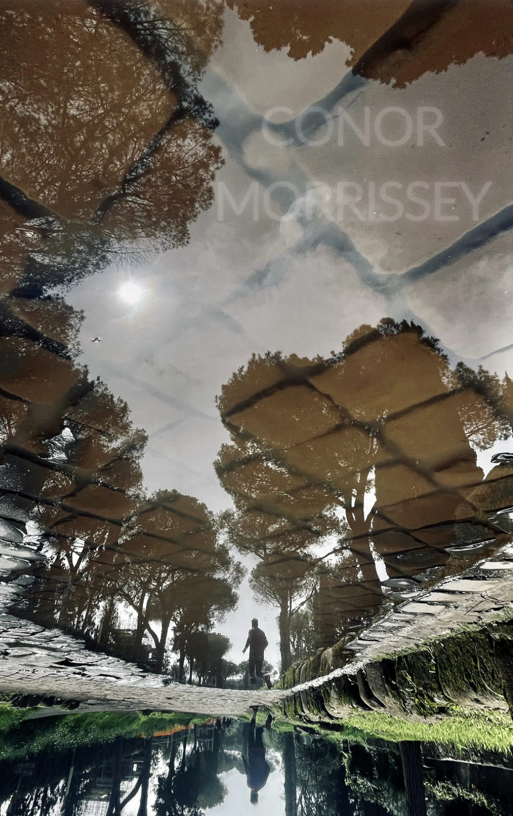 Screenshot 2026-04-07 at 12.37.03.png