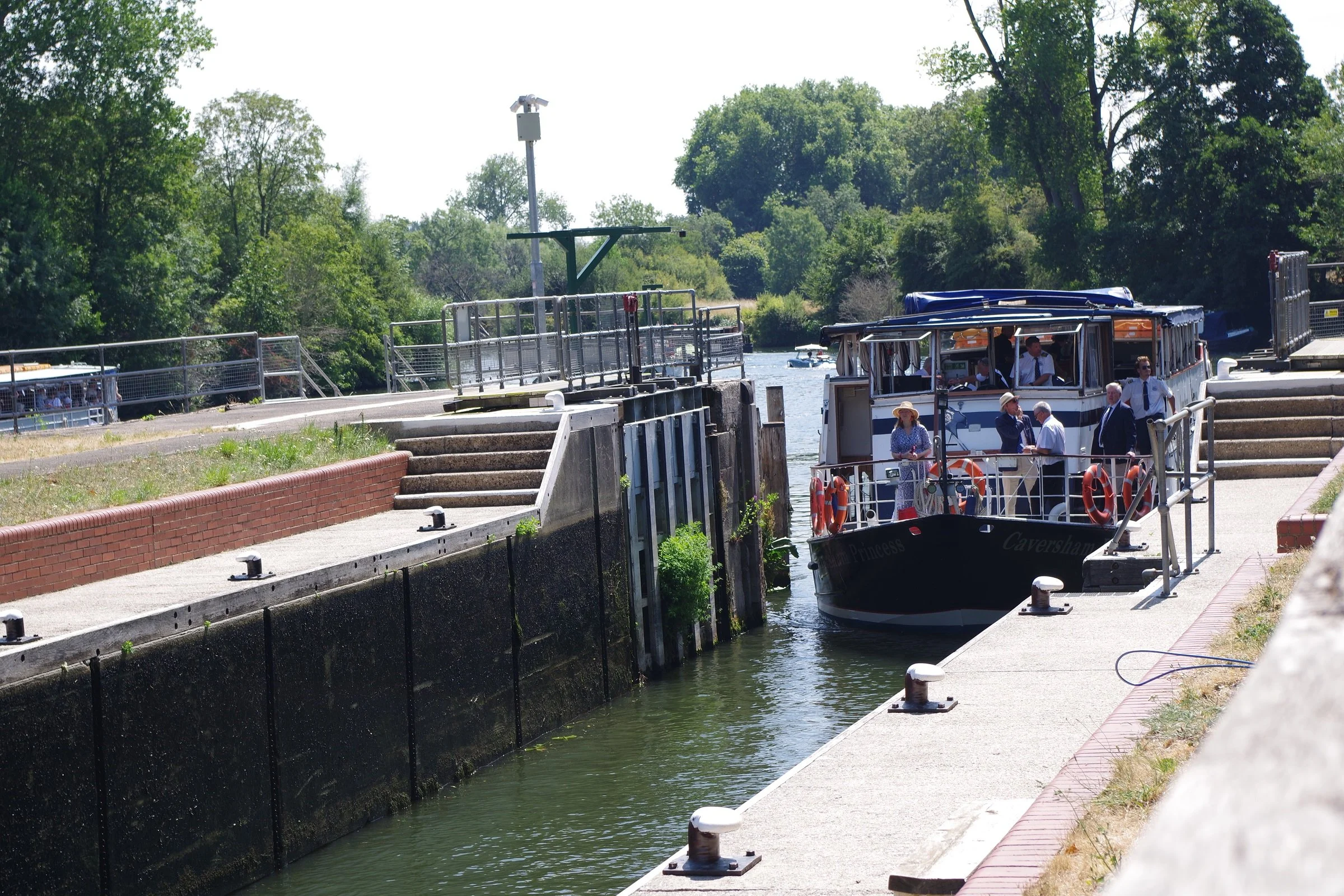 A Betts Swan Upping July 2026