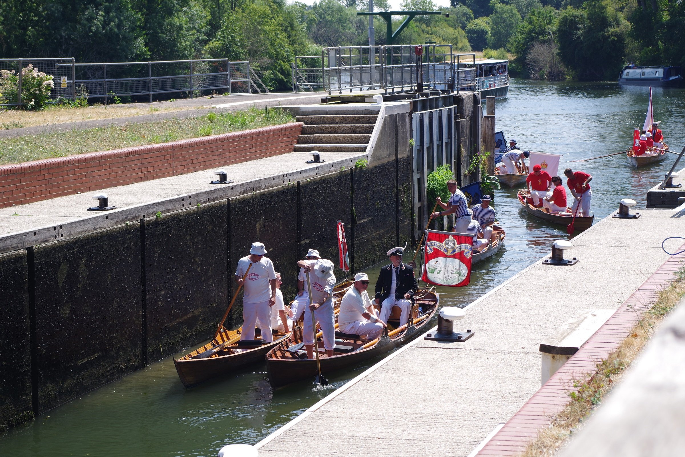 A Betts Swan Upping July 2026