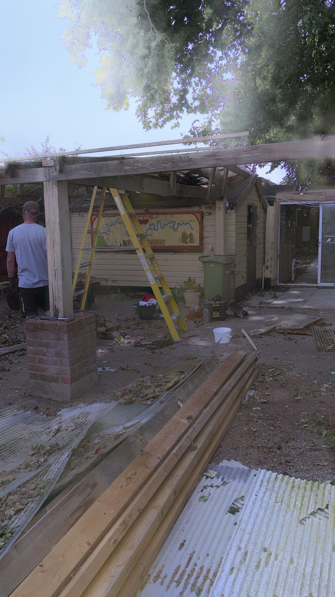 Removal/weeding of the Roof 15.8.26