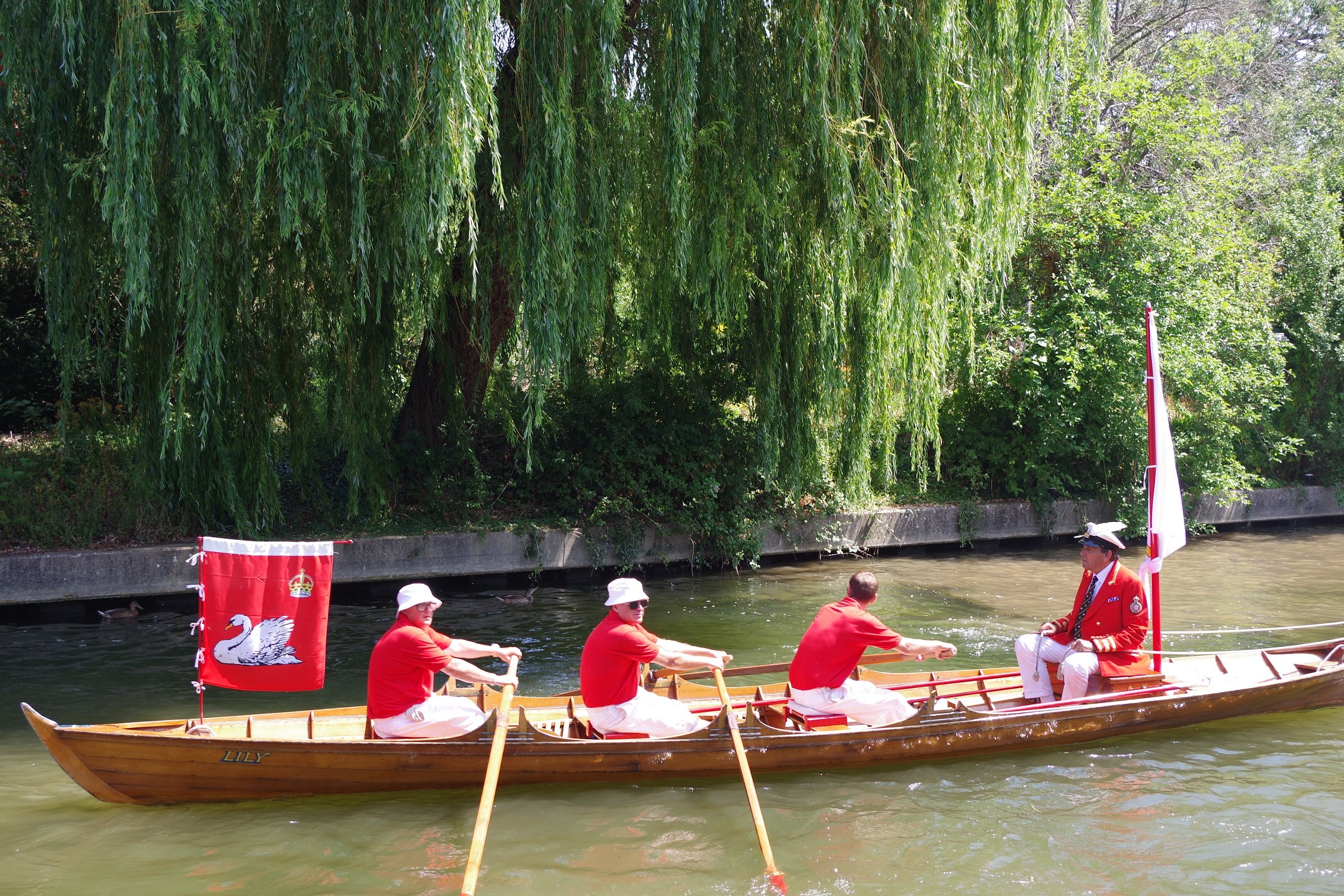 A Betts Swan Upping July 2026
