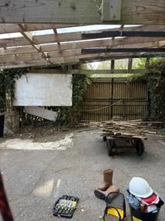 Removal/weeding of the Roof 15.8.26
