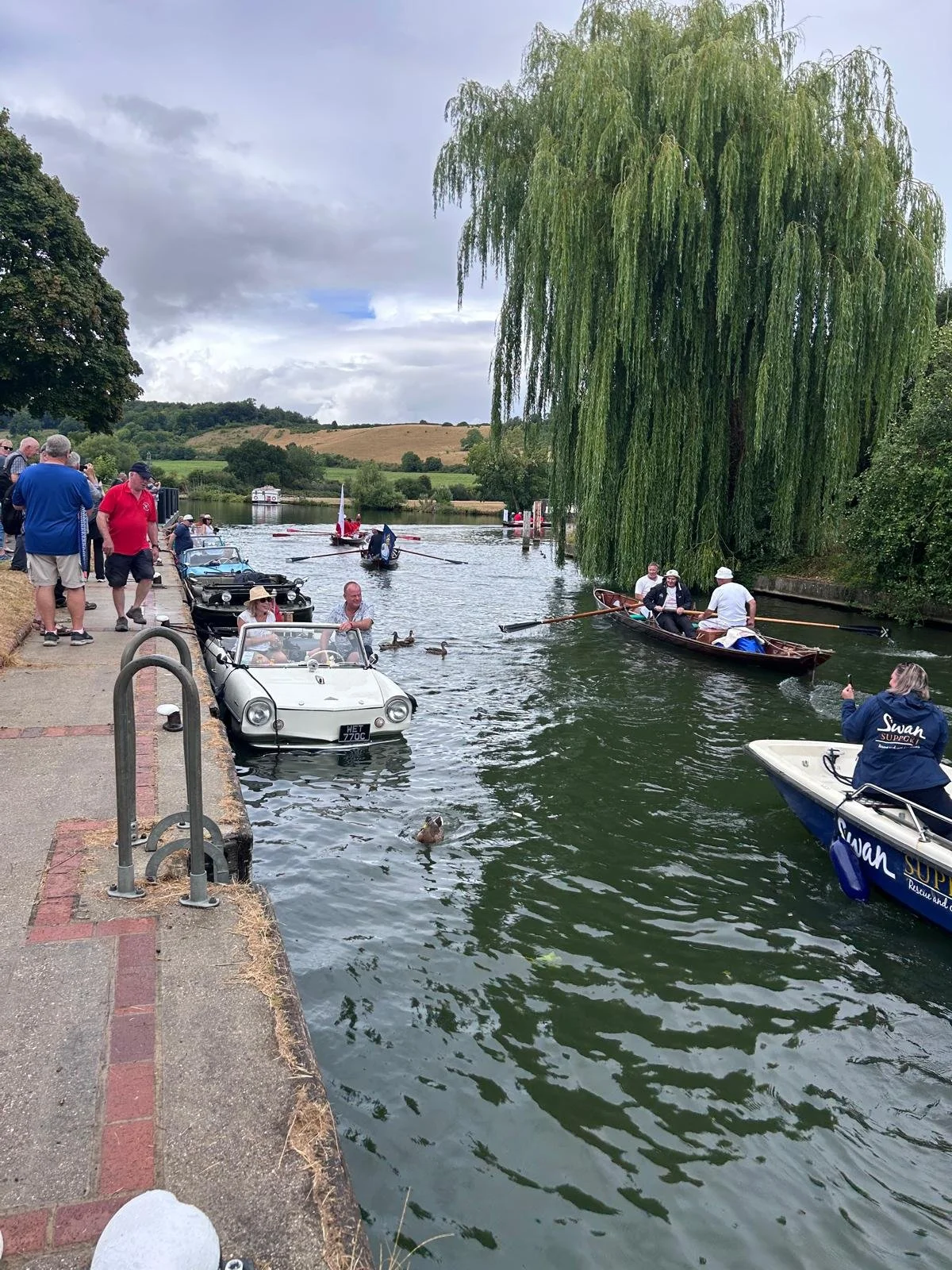 Sue Allen Swan Upping 2025