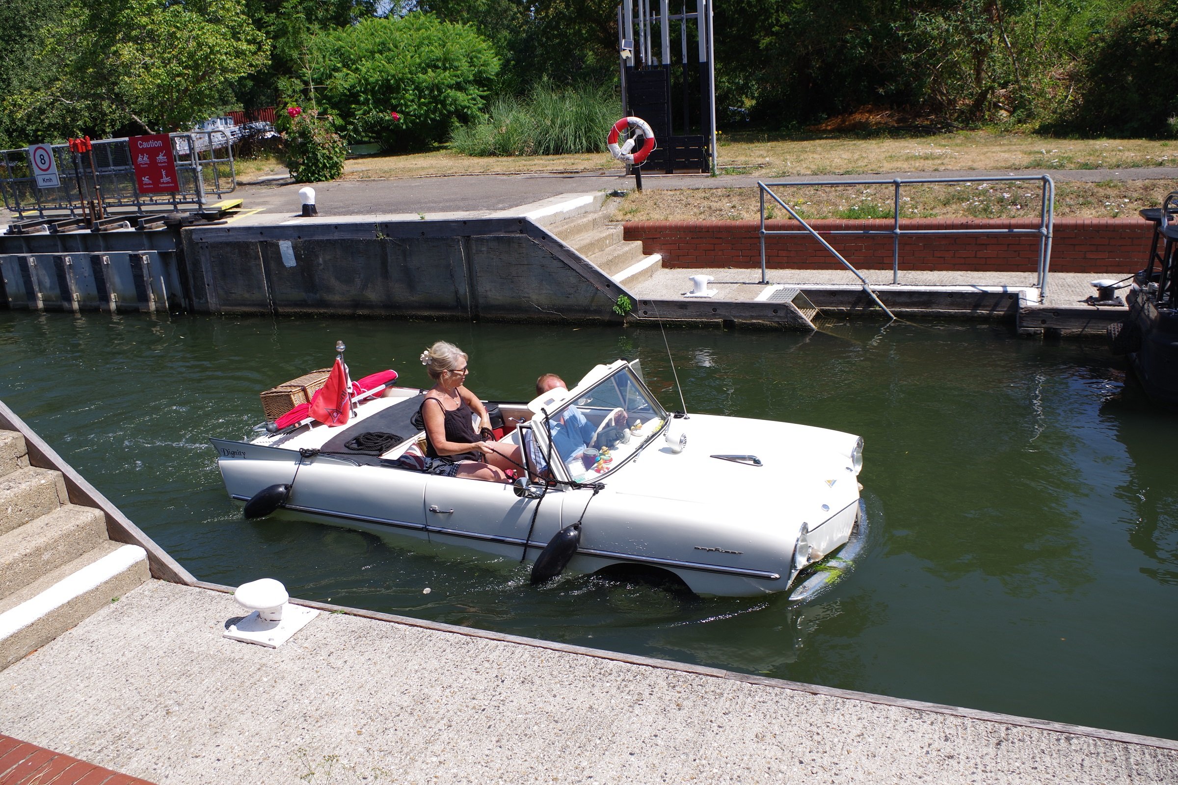 A Betts Swan Upping July 2026