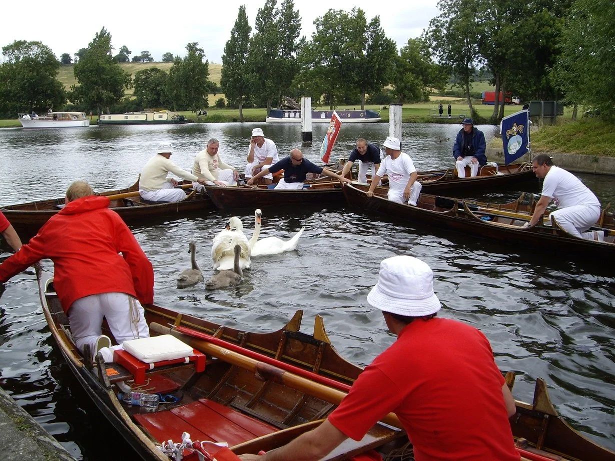 Jan Hiles Swan Upping 2025