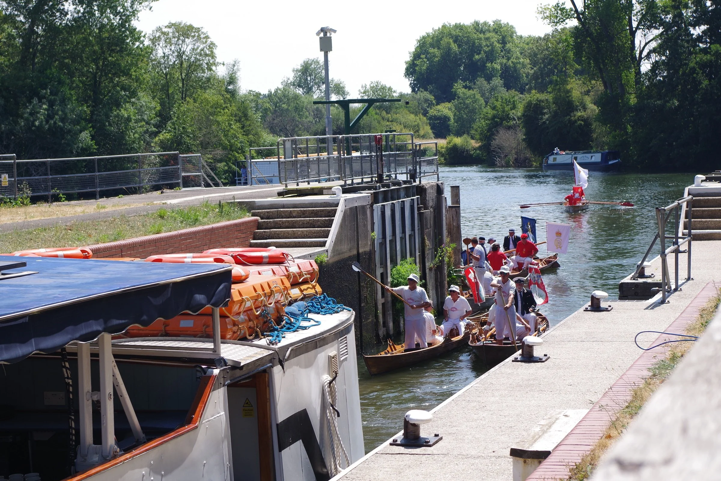 A Betts Swan Upping July 2026
