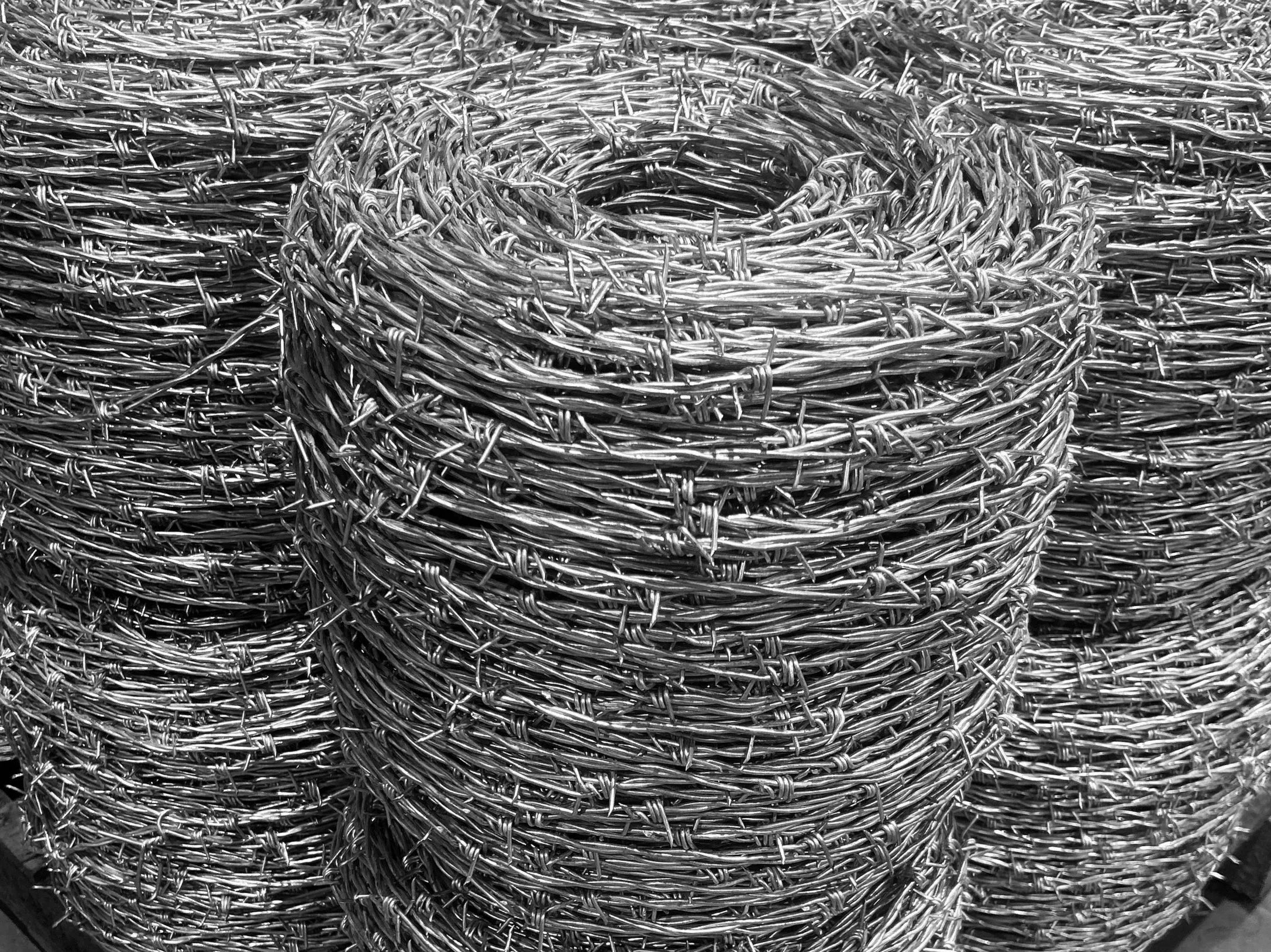 Stacks of coiled razor wire made of stainless steel.