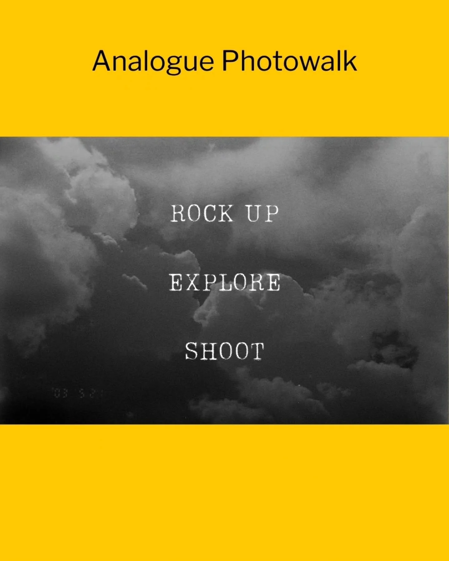 Three ways into the Analogue rabbit hole. Pick yours.

Link in bio to book.