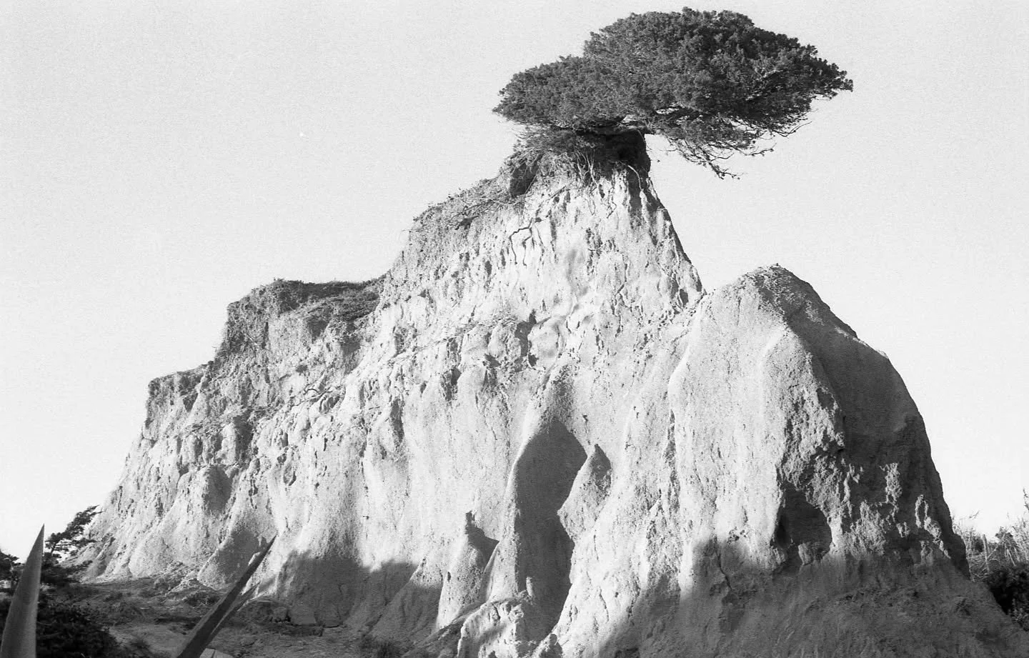 Shot by @lotte_yoga on the Analogue Photowalk in the rugged outskirts of Ericeira