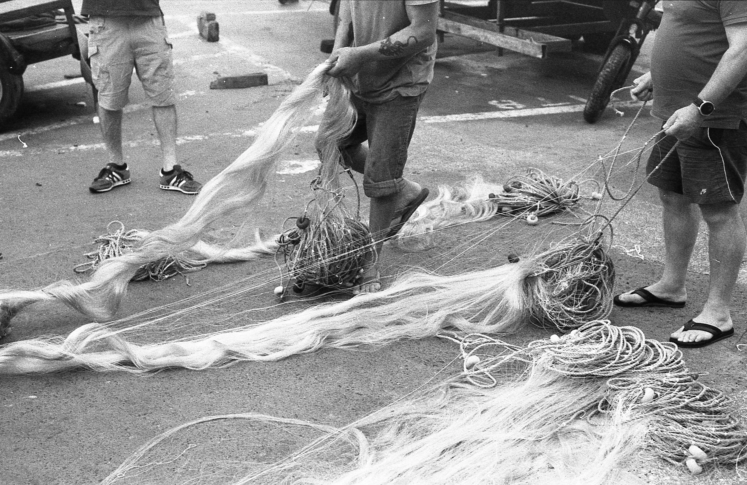 20240702 Nikon F4 Foma 400 014.jpg