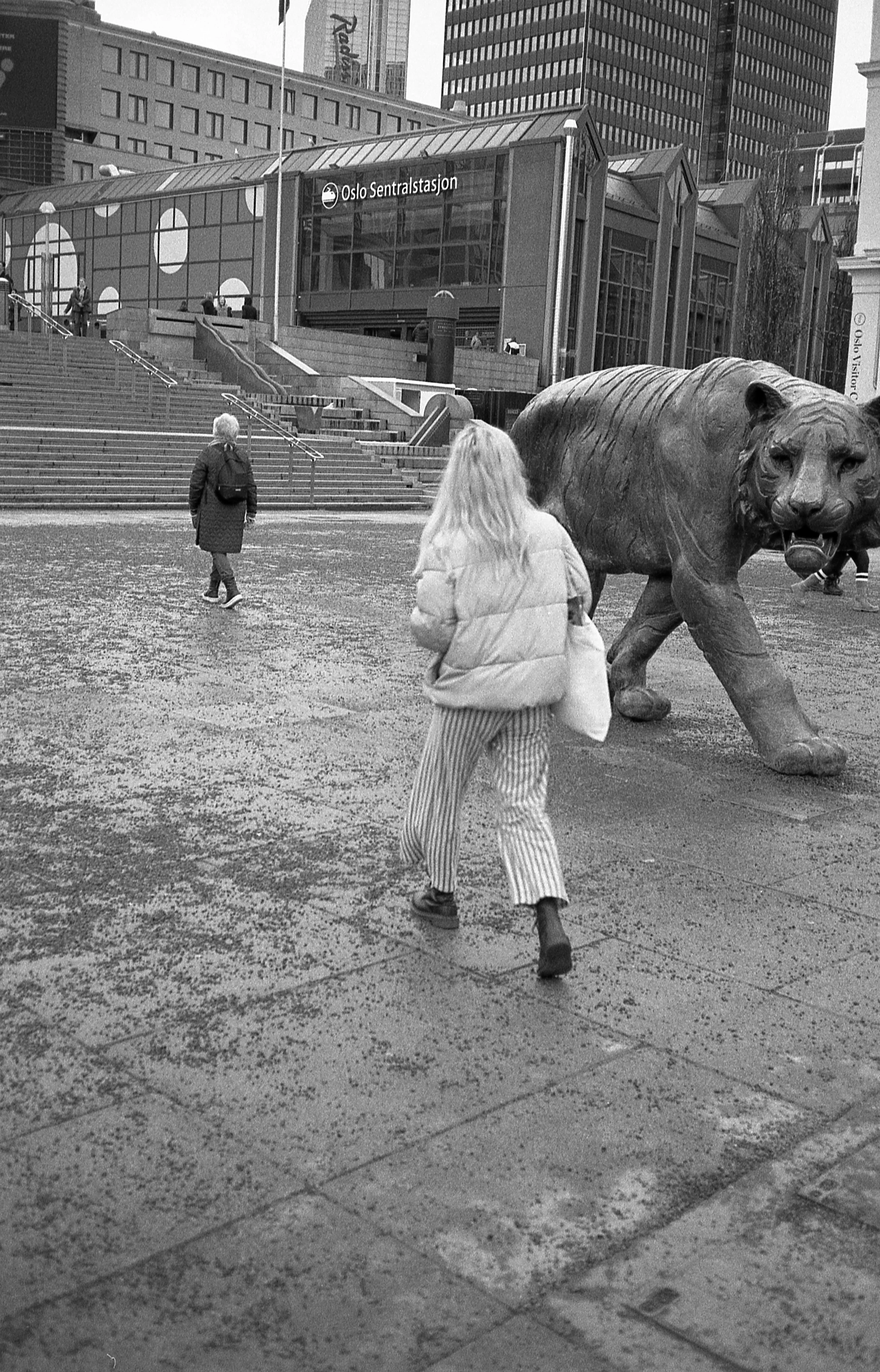 20190401 Contax T2 Tmax 400 030.jpg