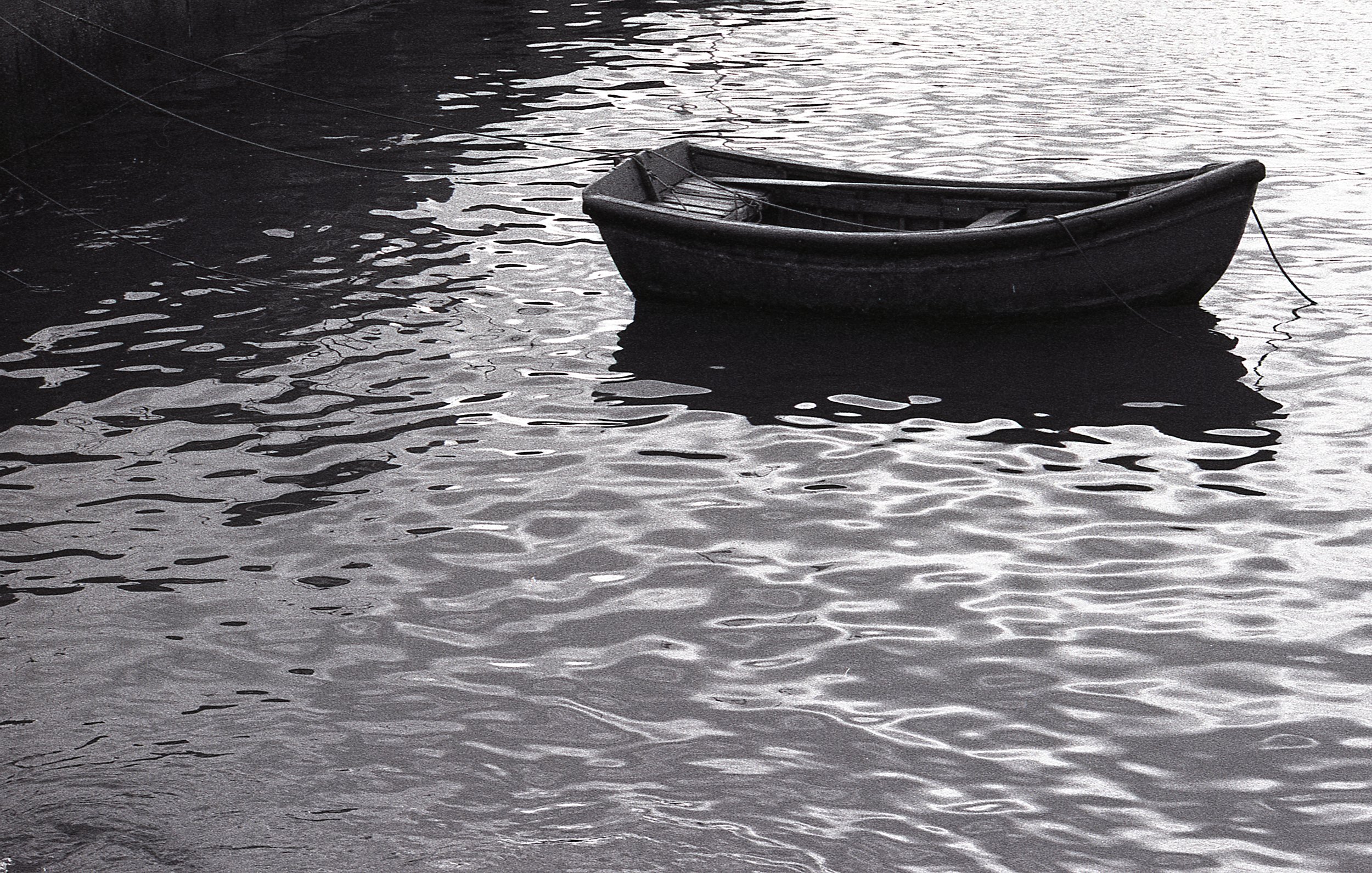 20201201 Nikon F Delta 400 005.jpg