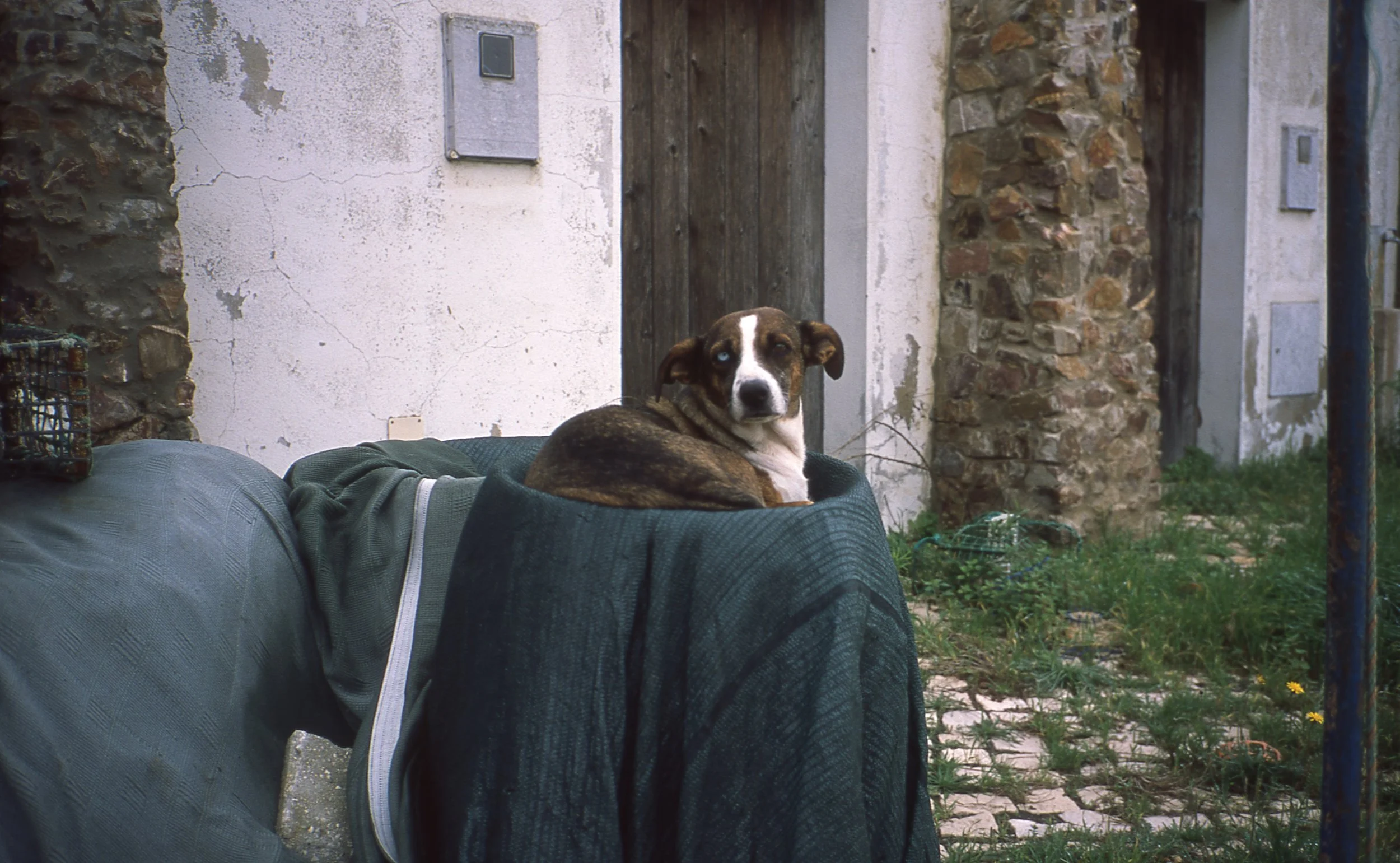 20210403 Contax T2 Provia 100 014.jpg