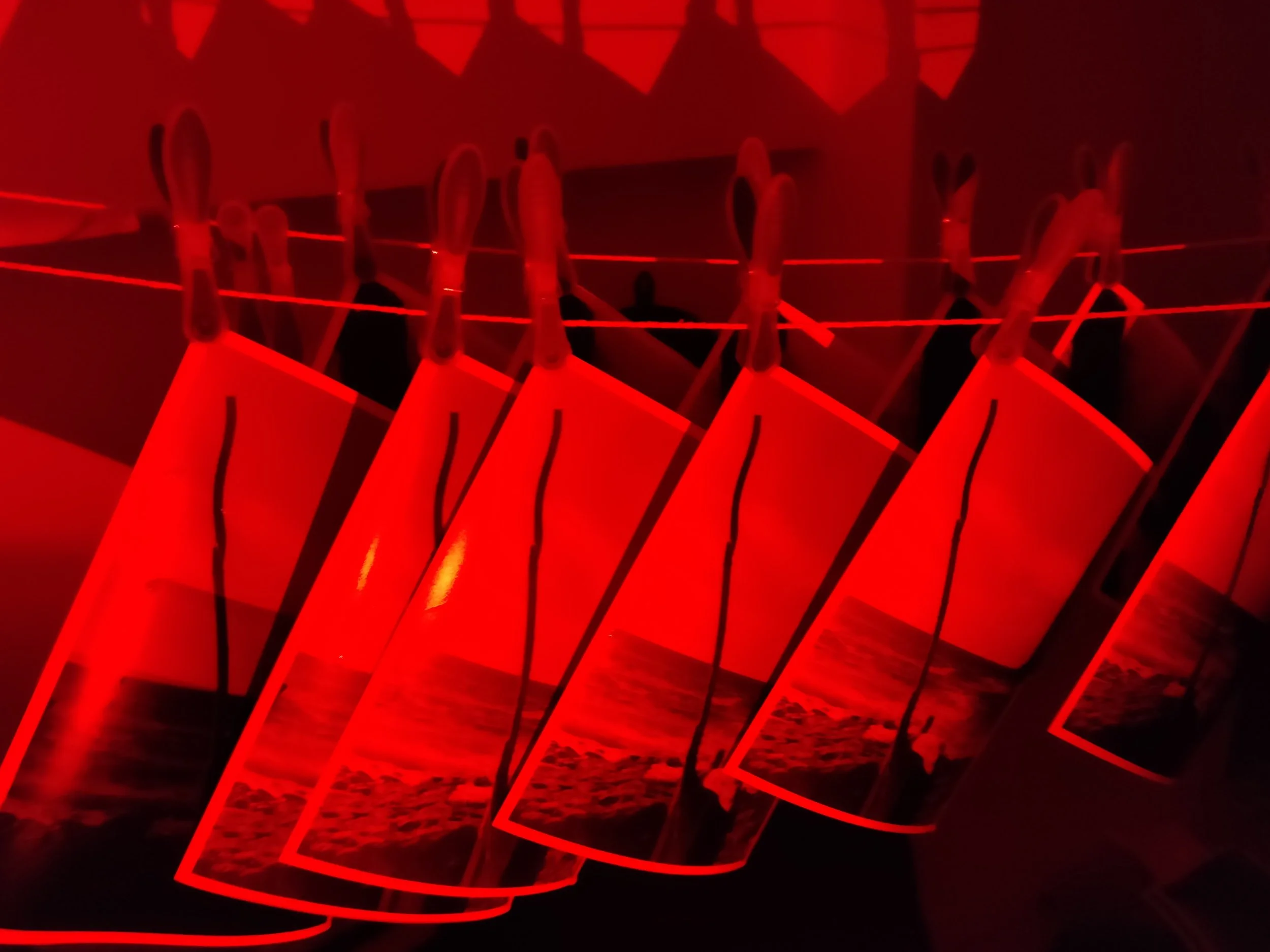 Darkroom photographic prints hanging on a string in red light.