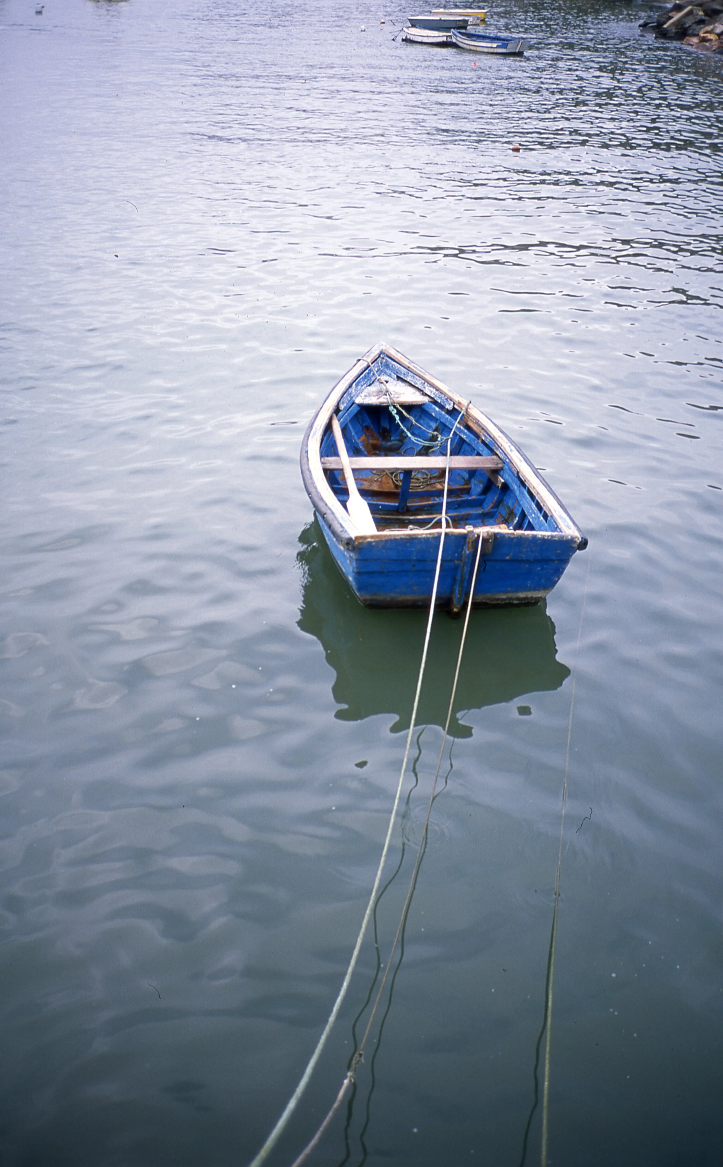 20210403 Contax T2 Provia 100 022.jpg
