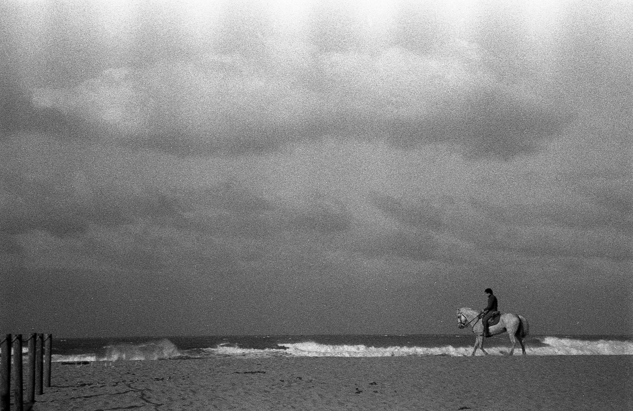 20250301 Olympus Zoom Fomapan 400 011.jpg