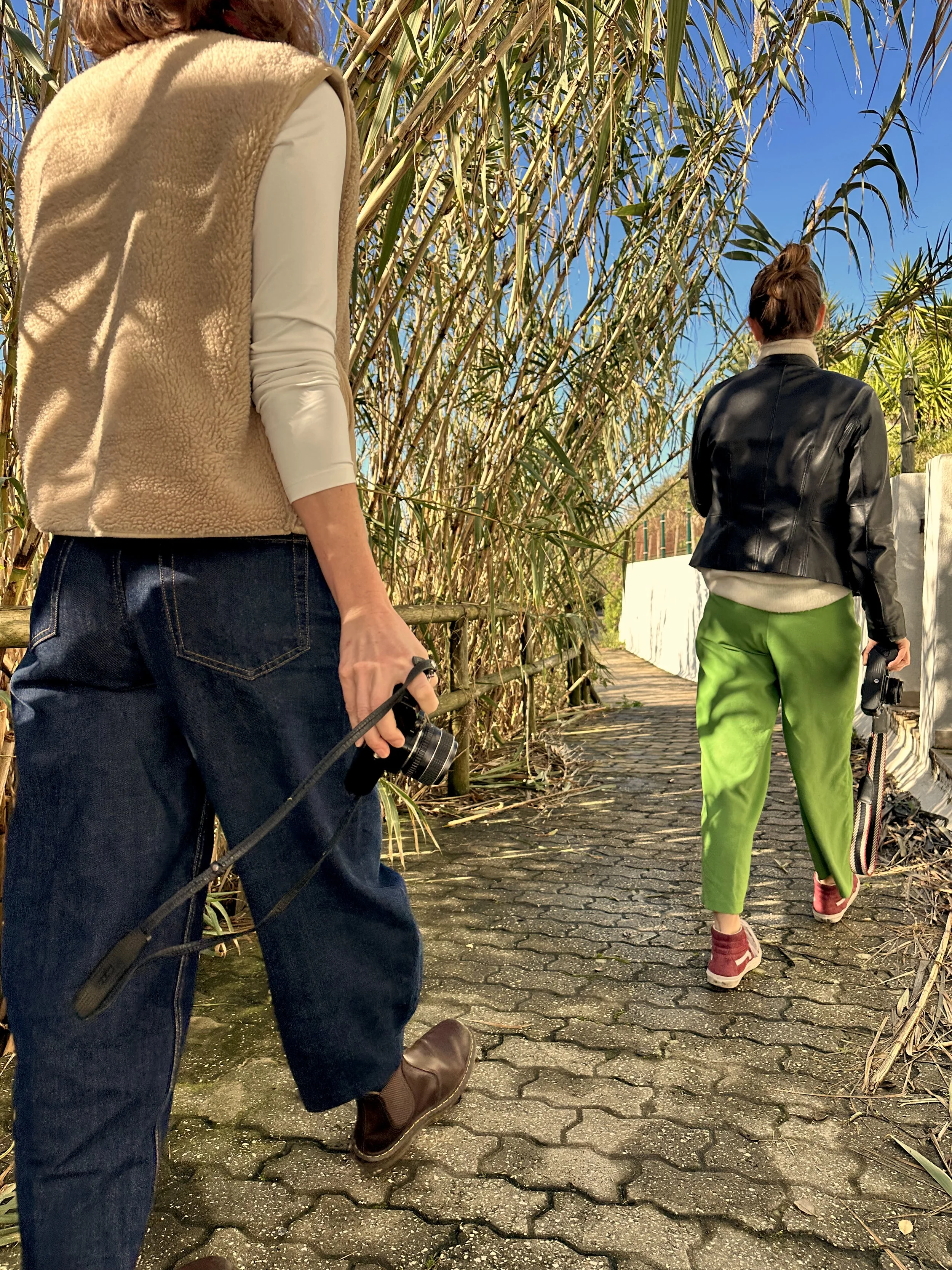 Two women walking along a narrow brick pathway surrounded by tall plants, both carrying film cameras, with bright sunlight and clear blue sky.