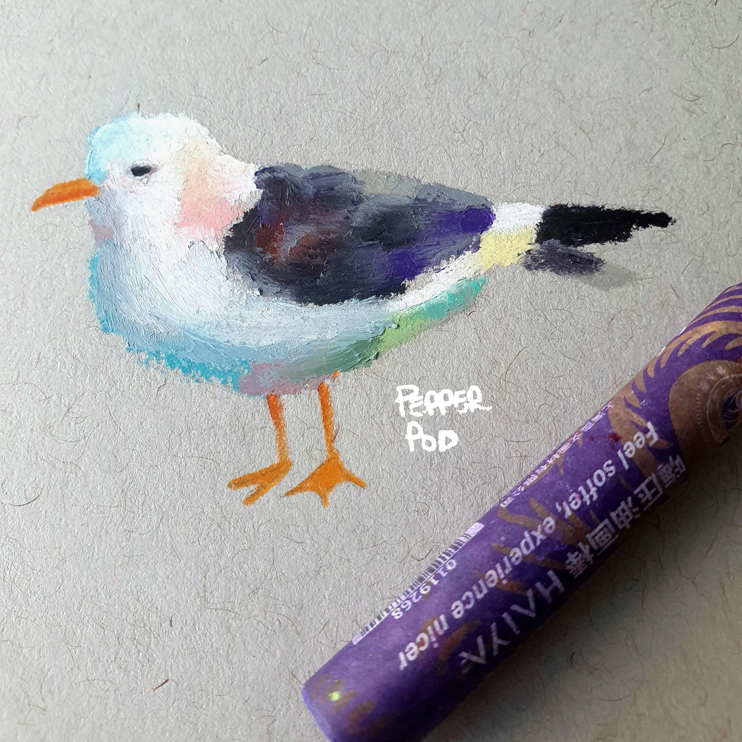 seagull.jpg