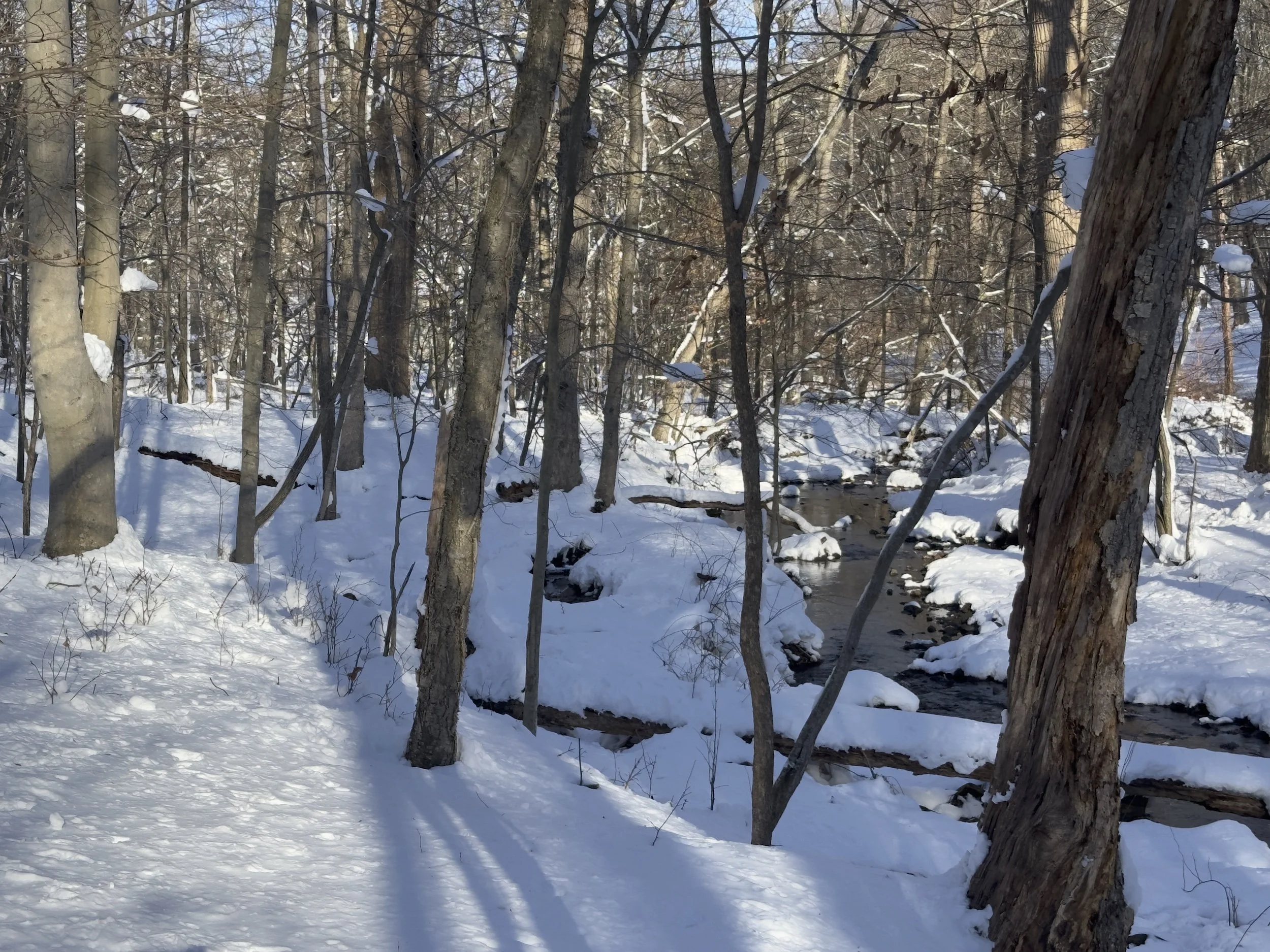 Stream buffer in winter
