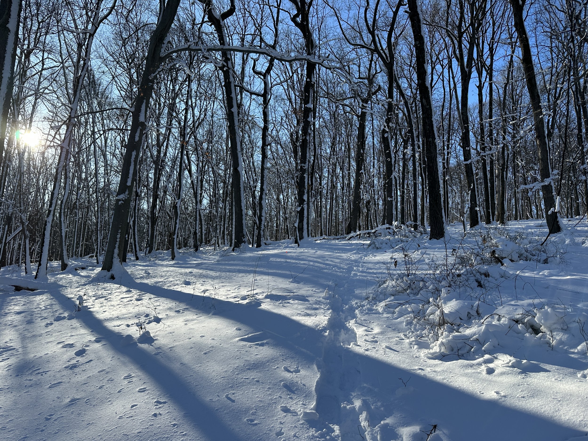 Sunlit mountain slope and contour