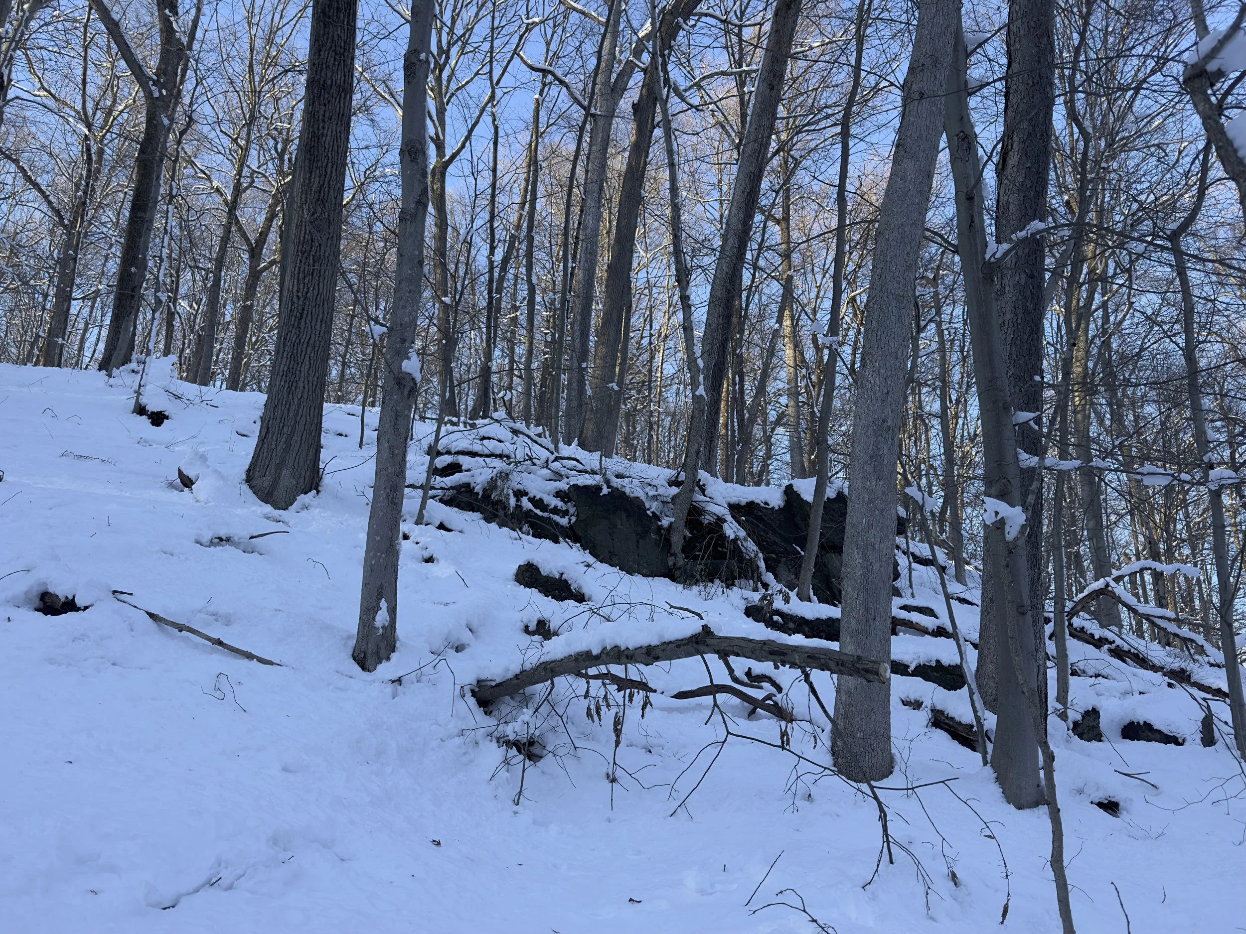 On-property rock outcrops and contour
