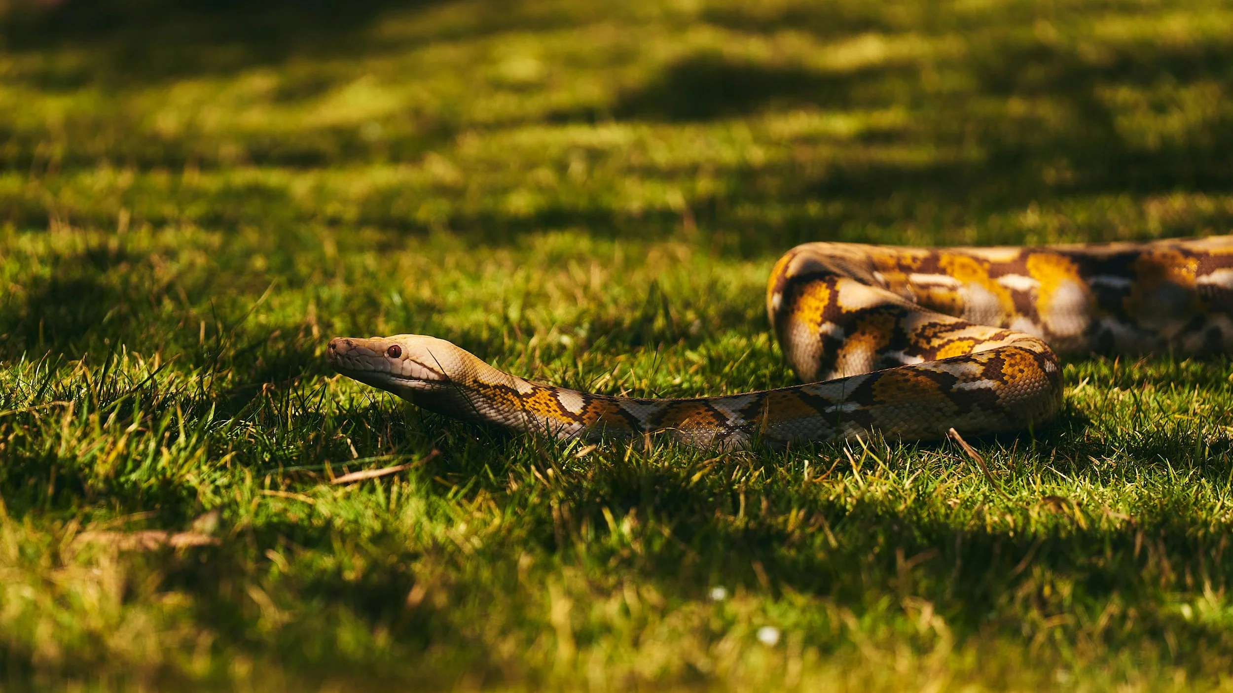 How to Identify a Nightmare (and What to Do About It)