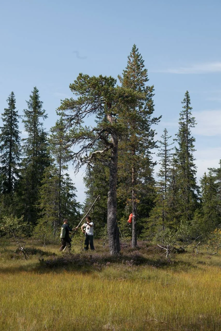 Primal Norway - Survival Courses in Norway 